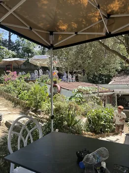 Saranın Bahçesi resimleri