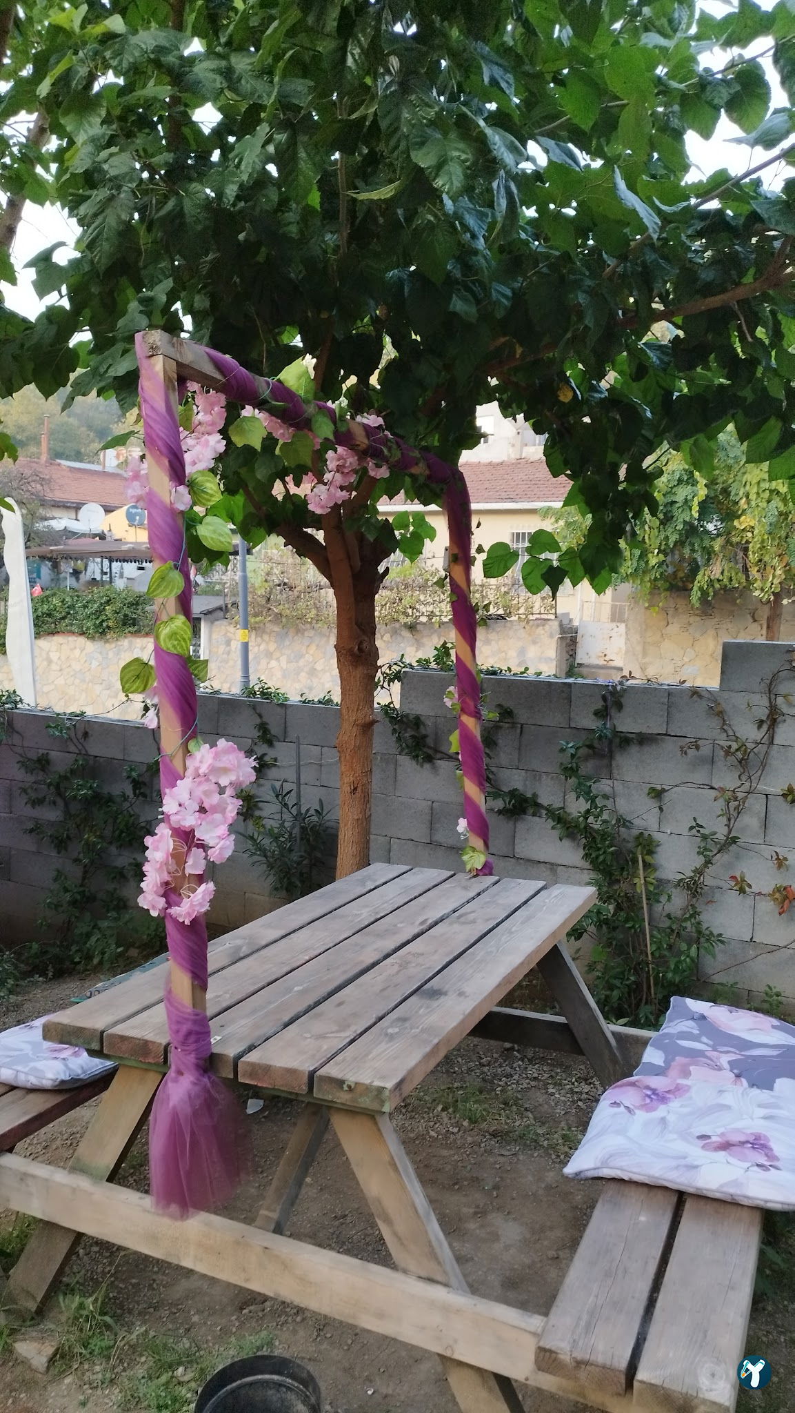 Saranın Bahçesi
