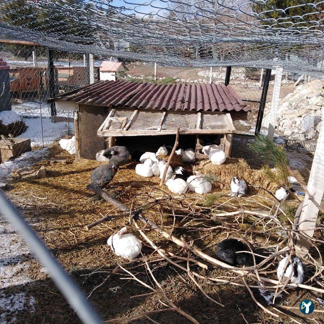 Doktorun Oteli - Kaplıca, Haymana
