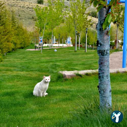 Doktorun Oteli - Kaplıca, Haymana