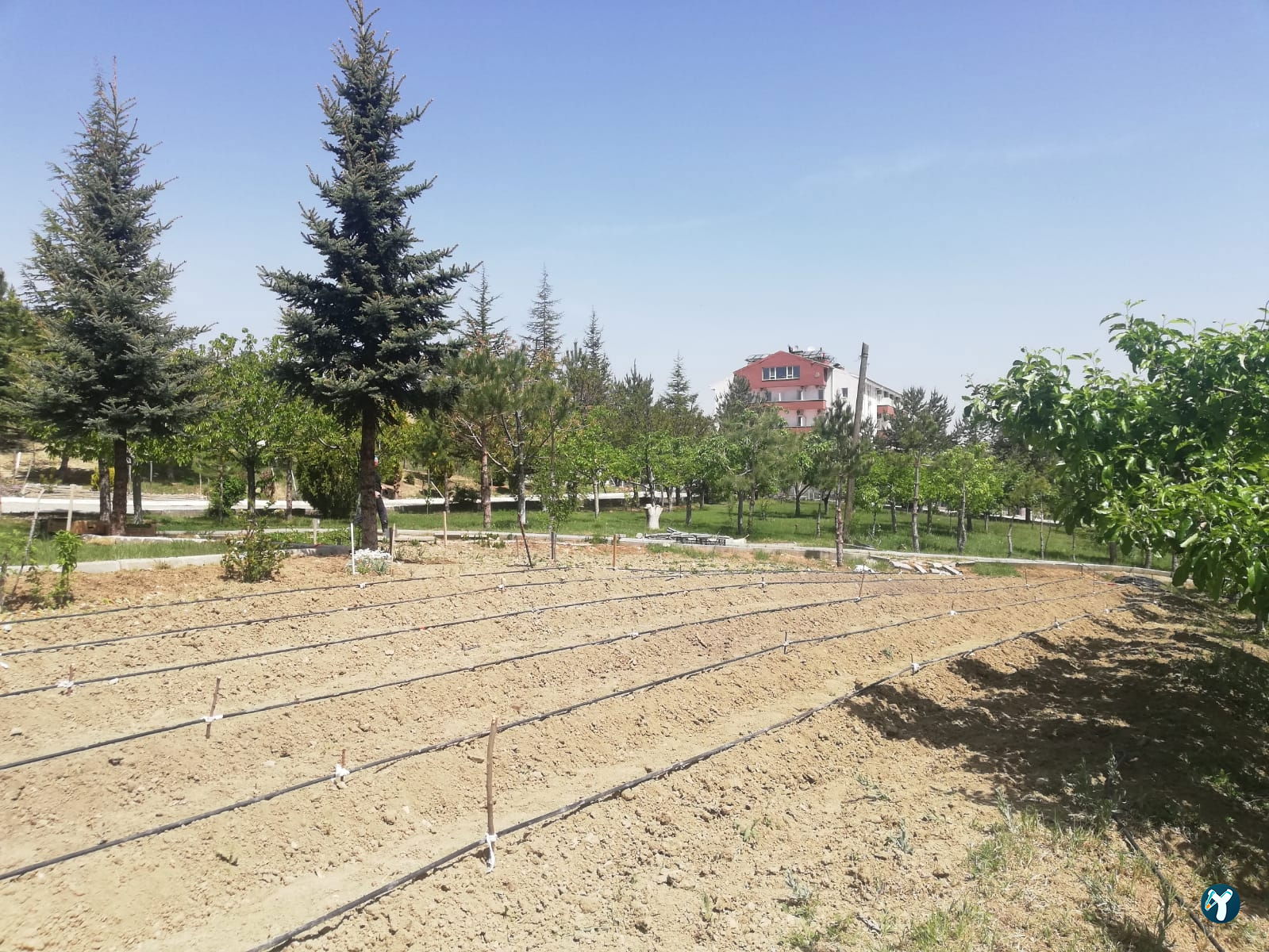 Doktorun Oteli - Kaplıca, Haymana