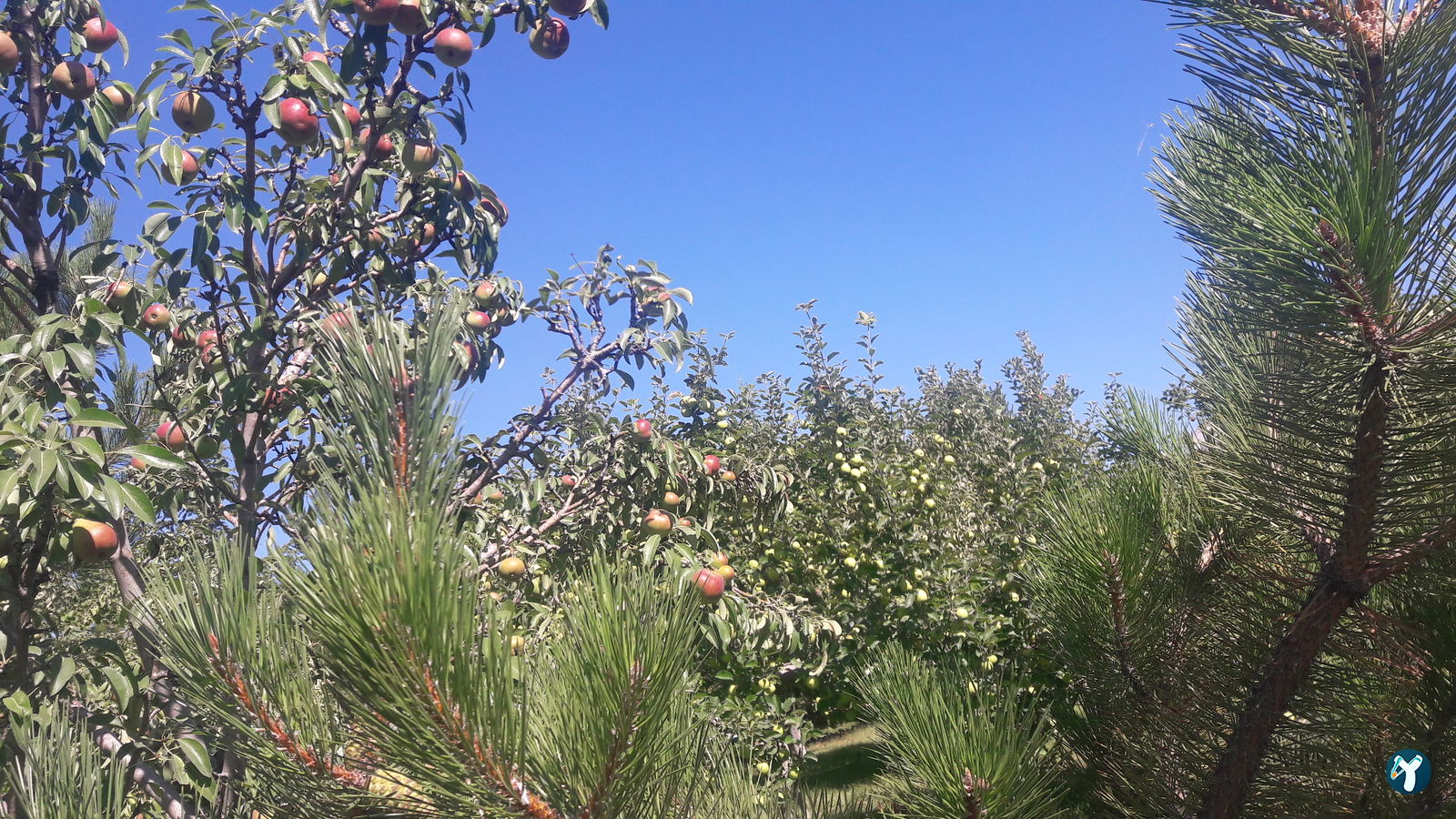 Doktorun Oteli - Kaplıca, Haymana