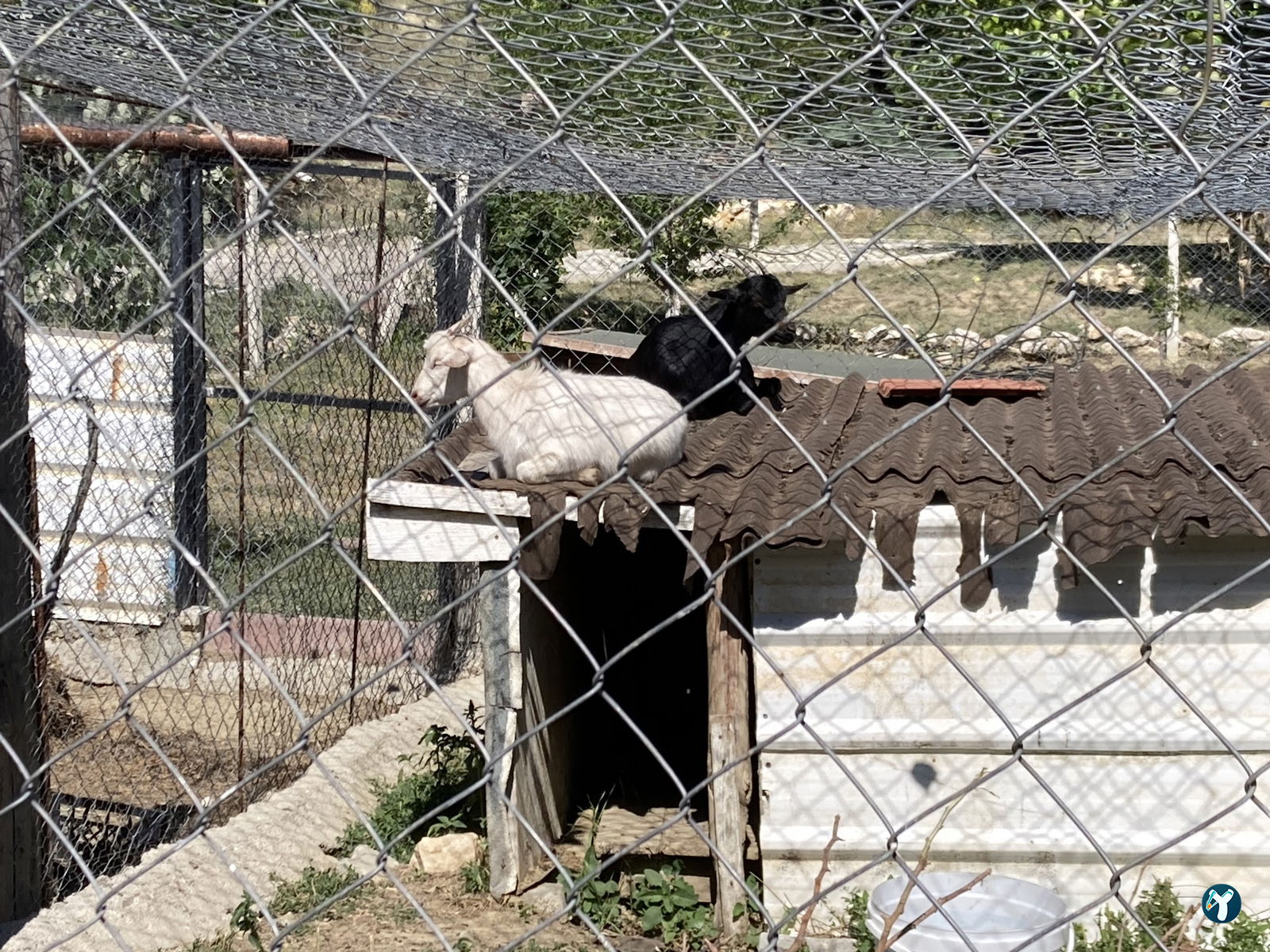 Doktorun Oteli - Kaplıca, Haymana