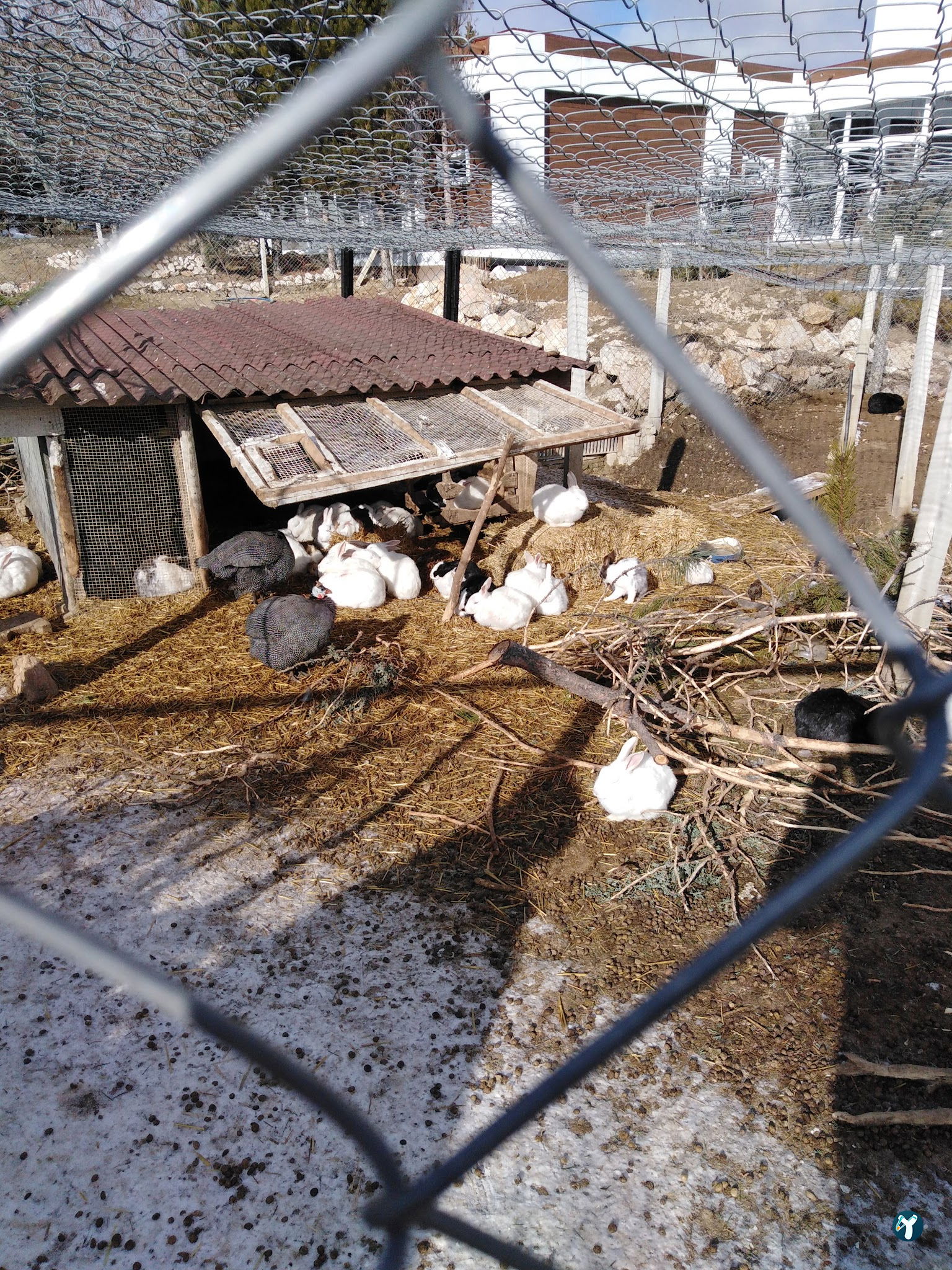 Doktorun Oteli - Kaplıca, Haymana