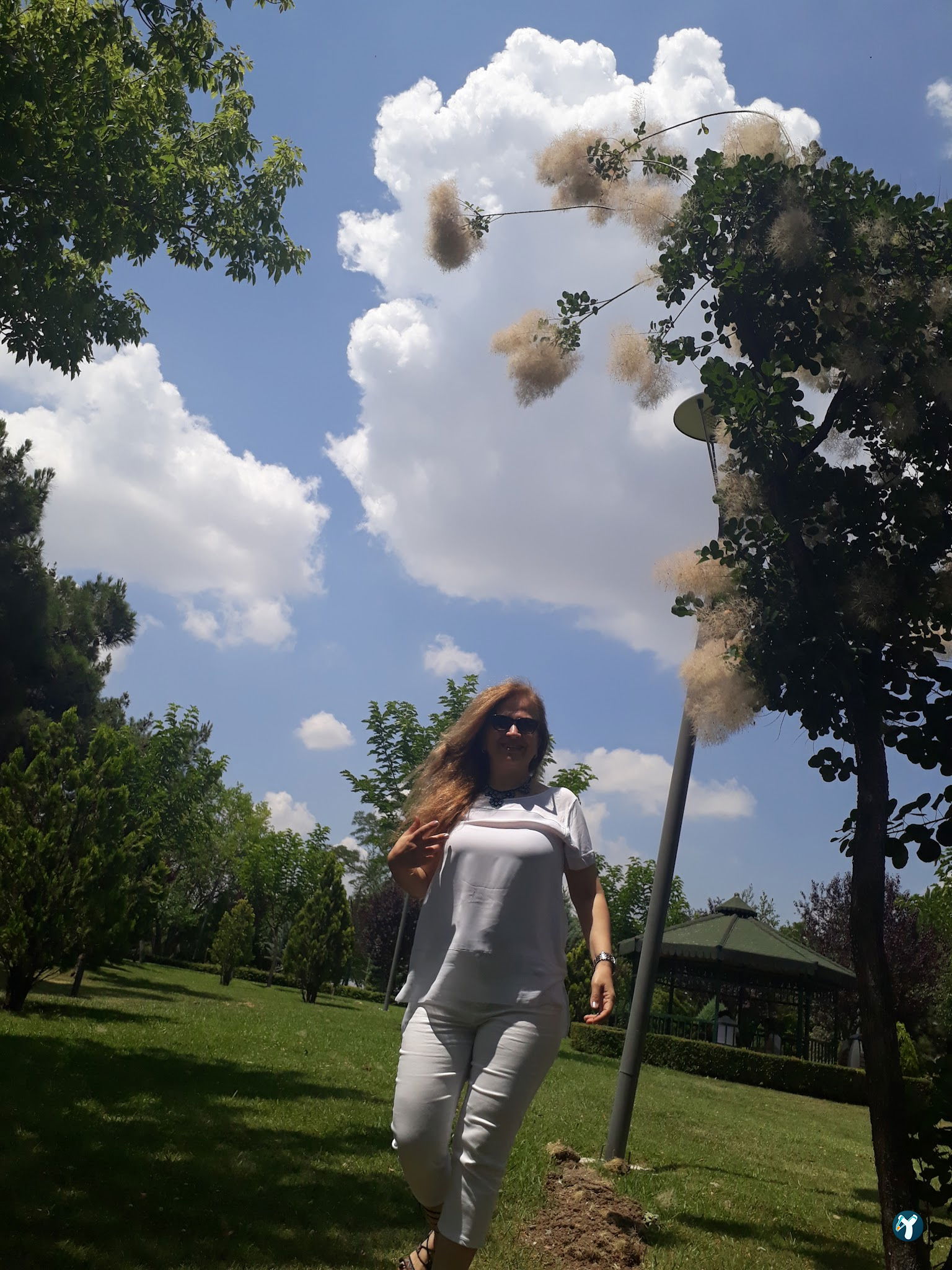 Türkiye Büyük Millet Meclisi Sosyal (Ala) Tesisleri