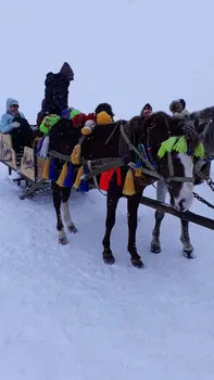 Foça Balık Ekmek resimleri