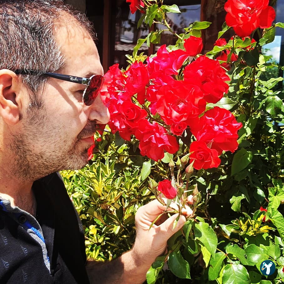 Güngör Et Lokantısı