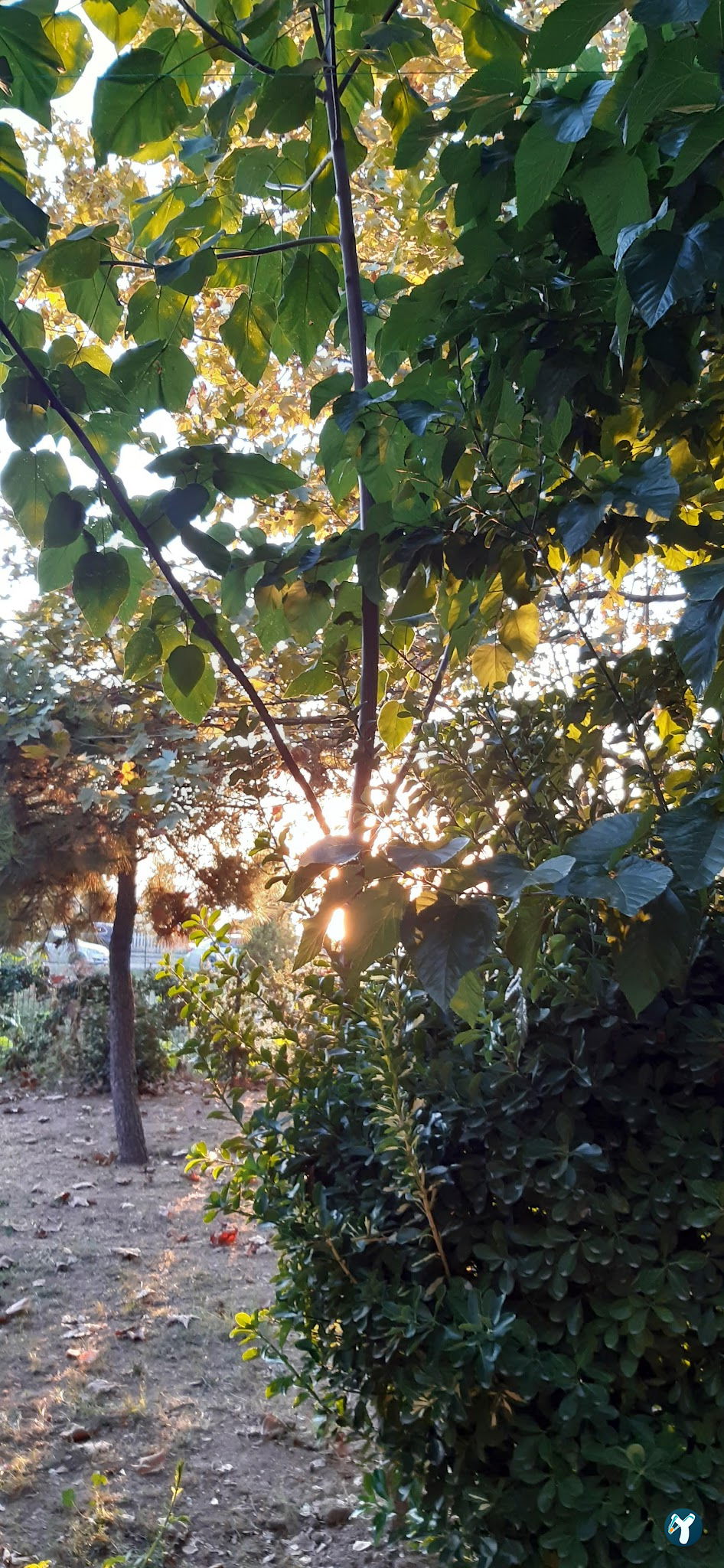 Güngör Et Lokantısı