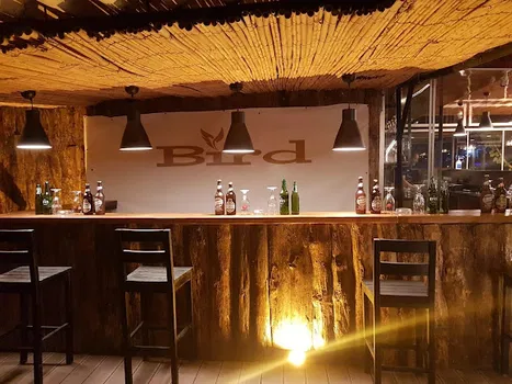 Golden Bird Lounge resimleri