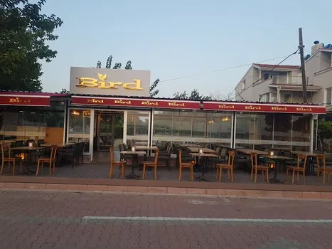Golden Bird Lounge resimleri