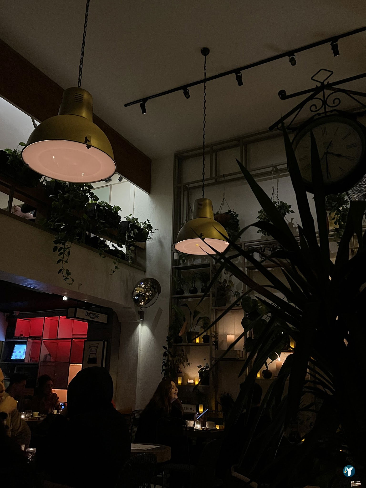 Doctrine Coffee