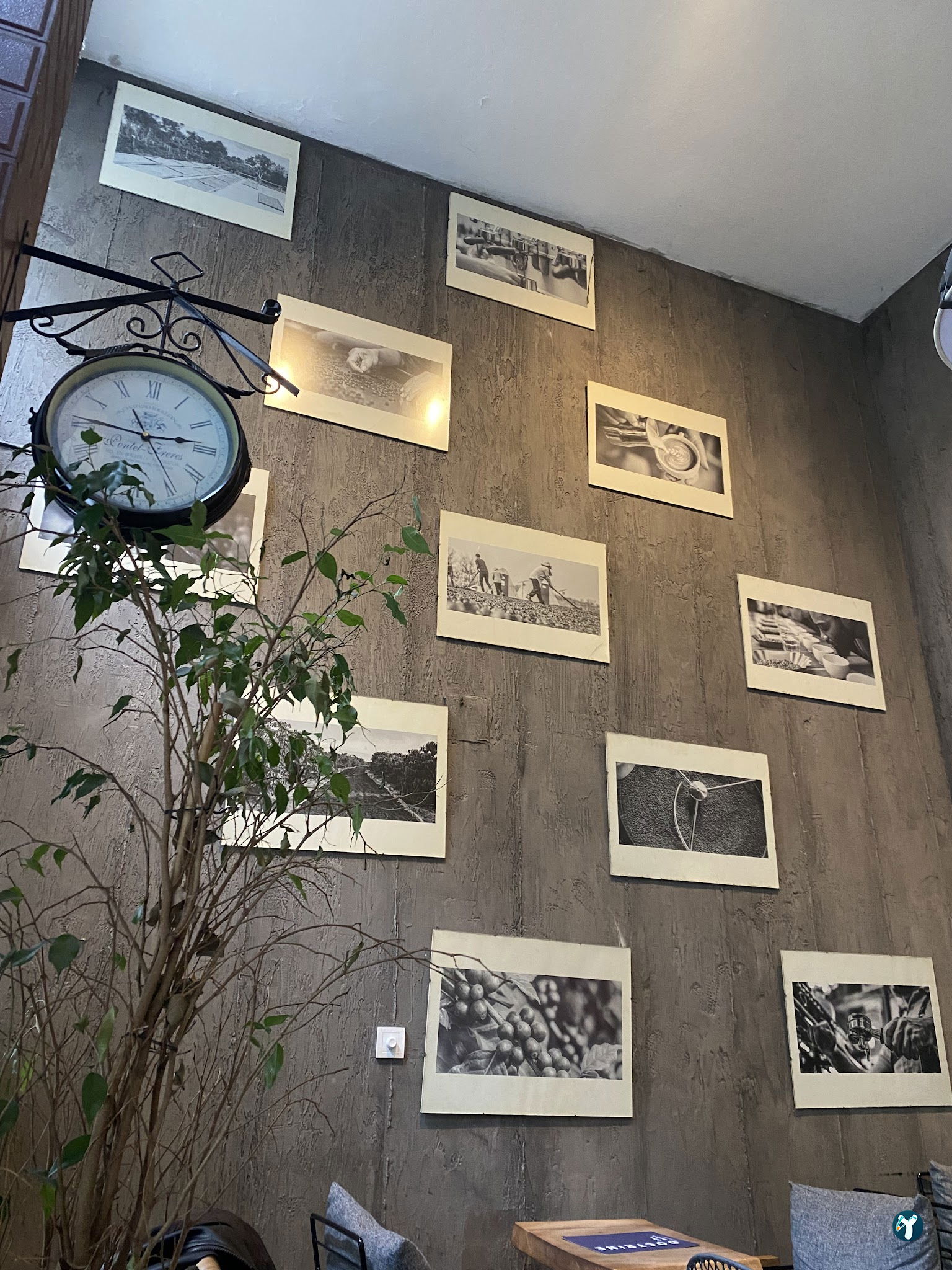 Doctrine Coffee