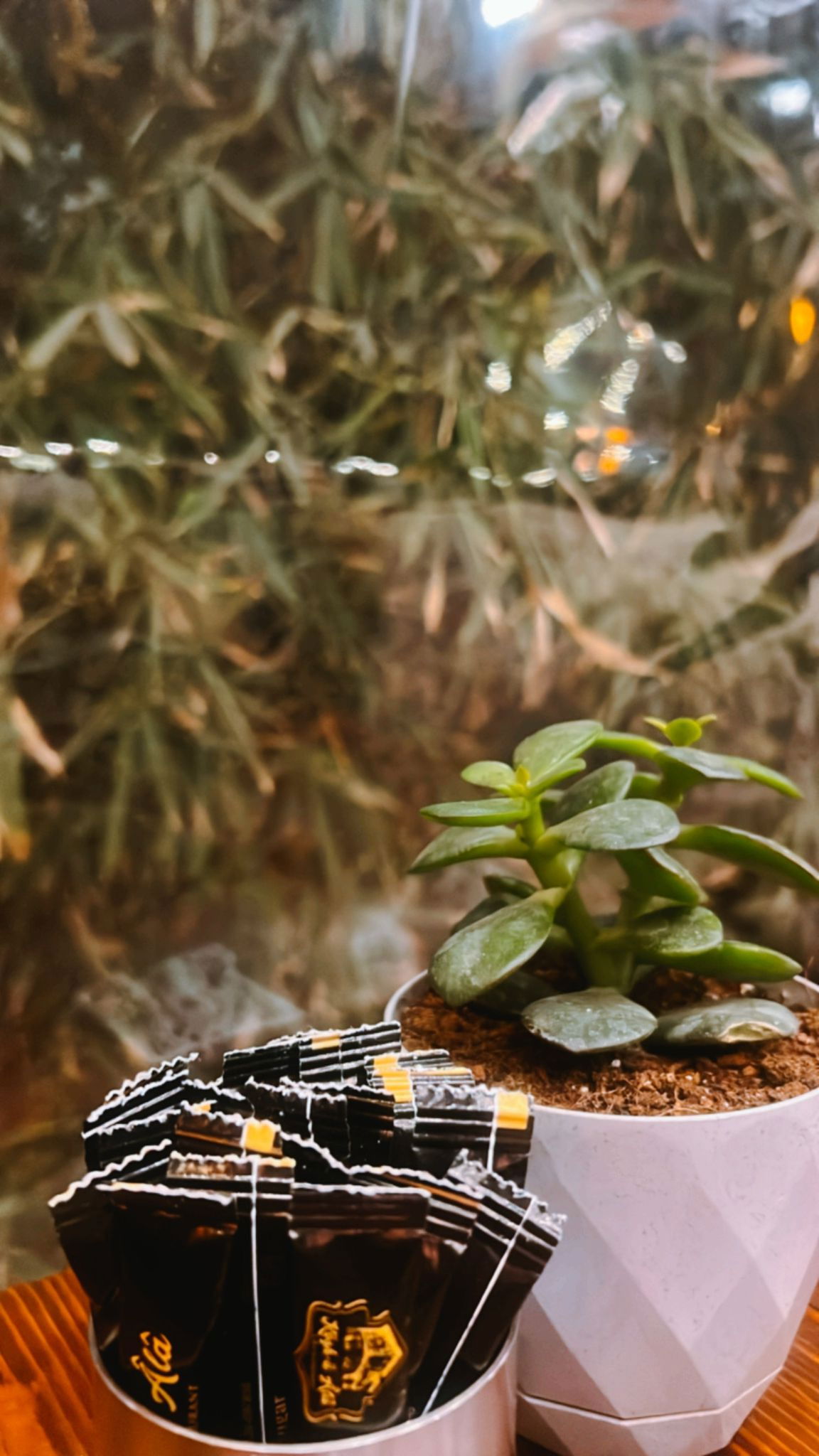 Köşk-Ü Âlâ Cafe