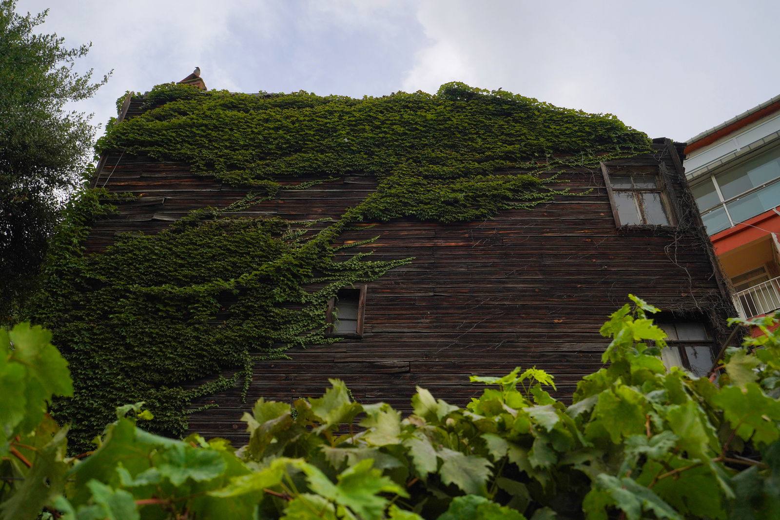 Köşk-Ü Âlâ Cafe