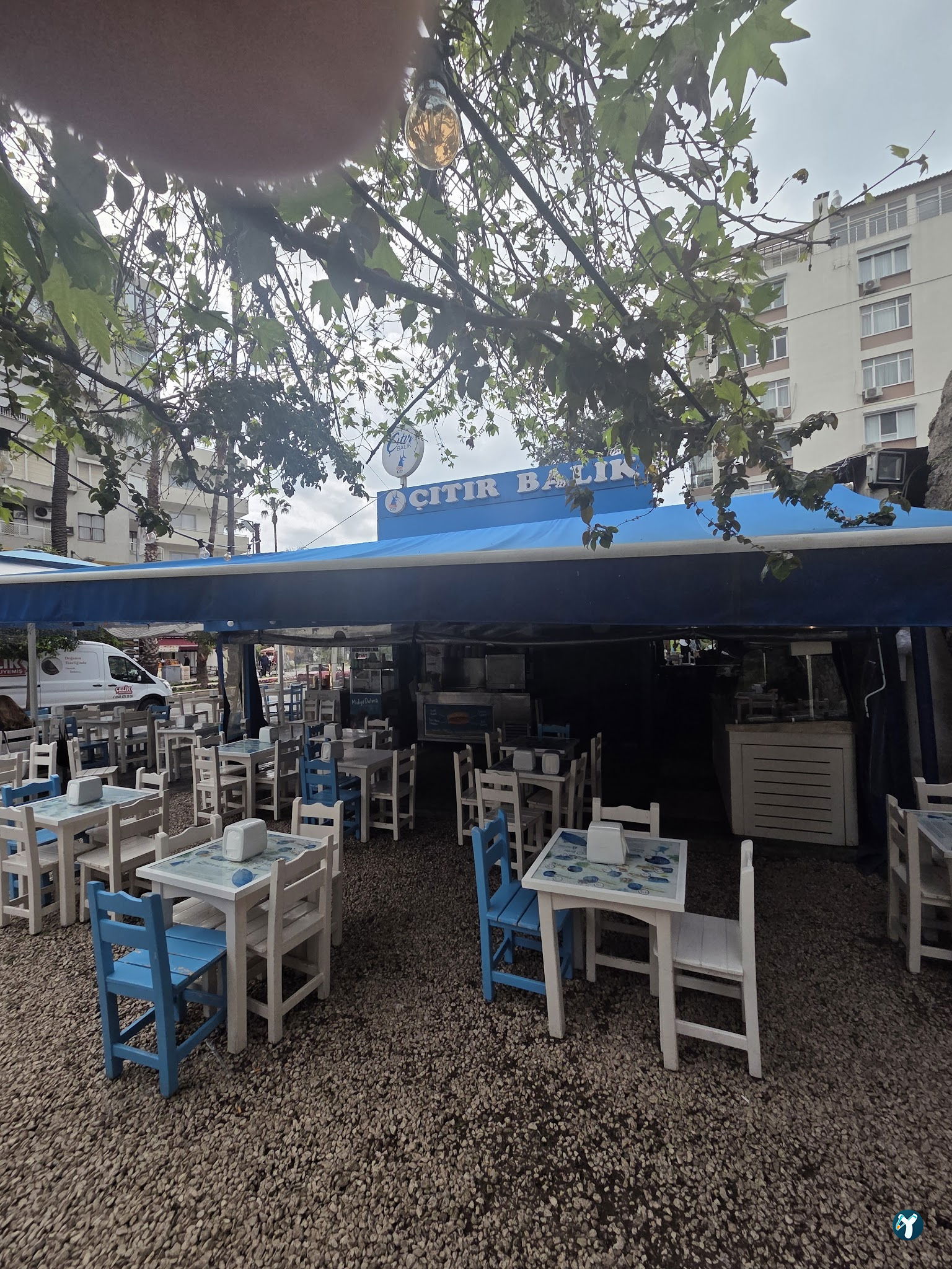 Çıtır Balık