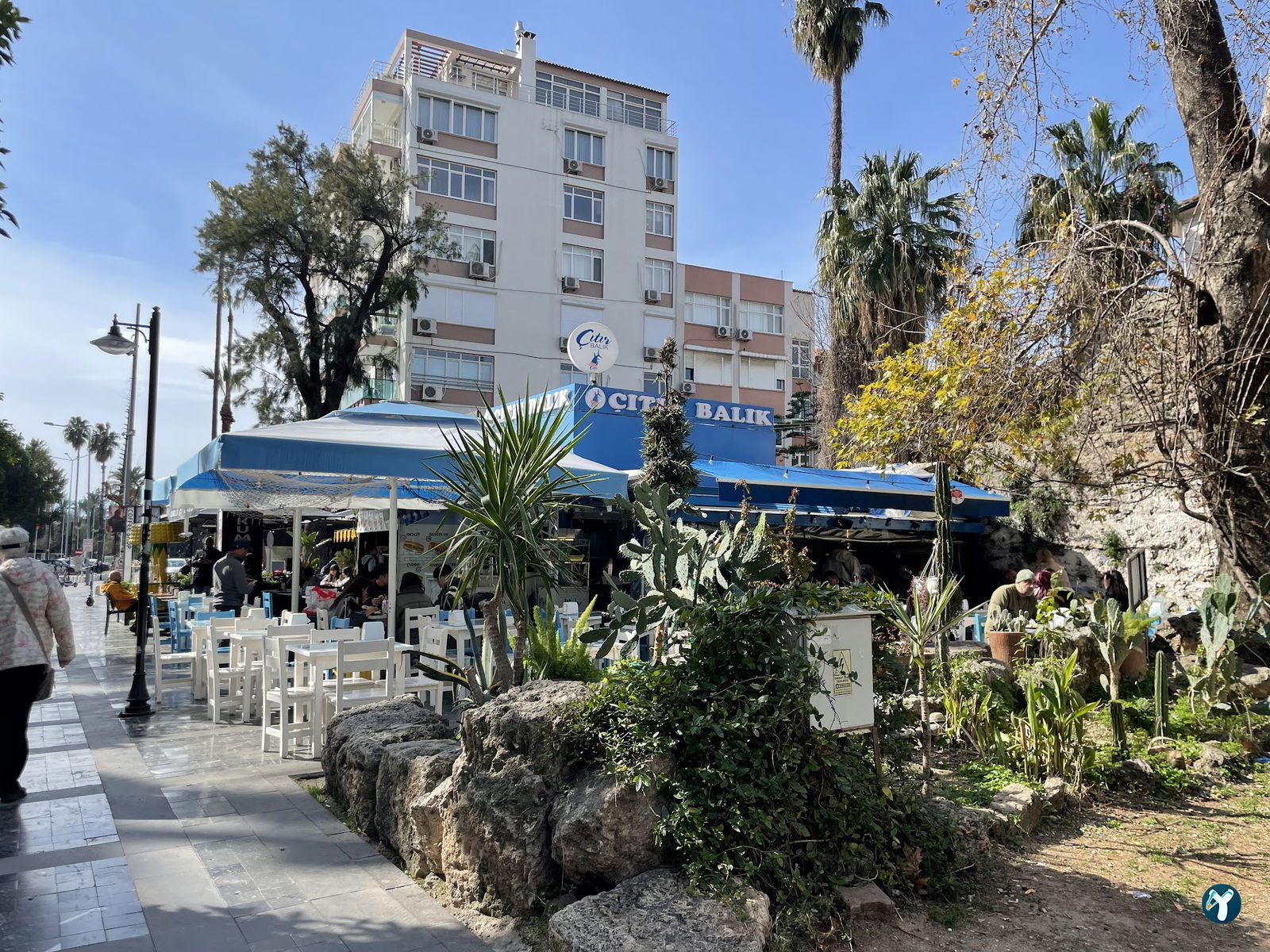 Çıtır Balık