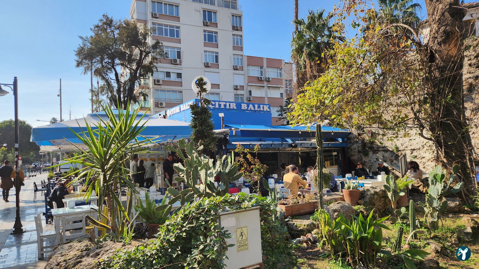 Çıtır Balık