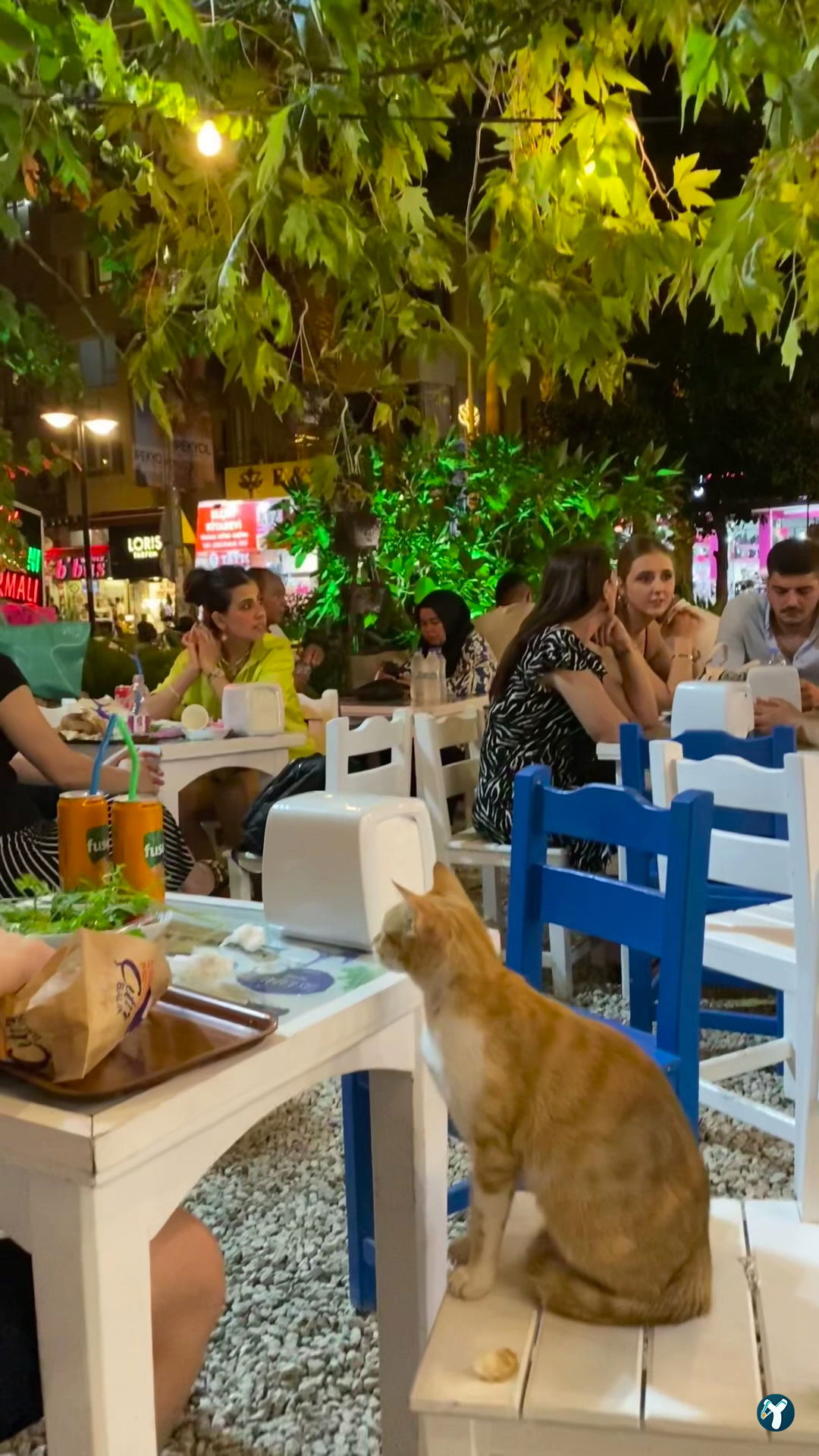 Çıtır Balık