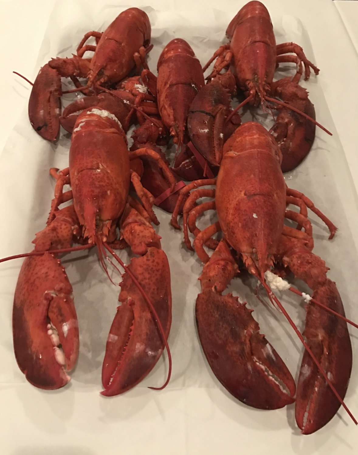 İskele Balık (Tuzla Sahil)