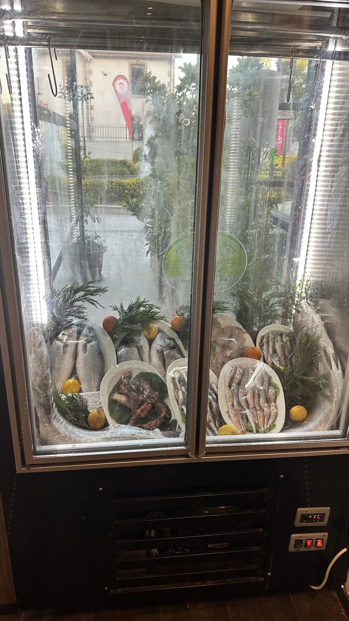 İskele Balık (Tuzla Sahil)