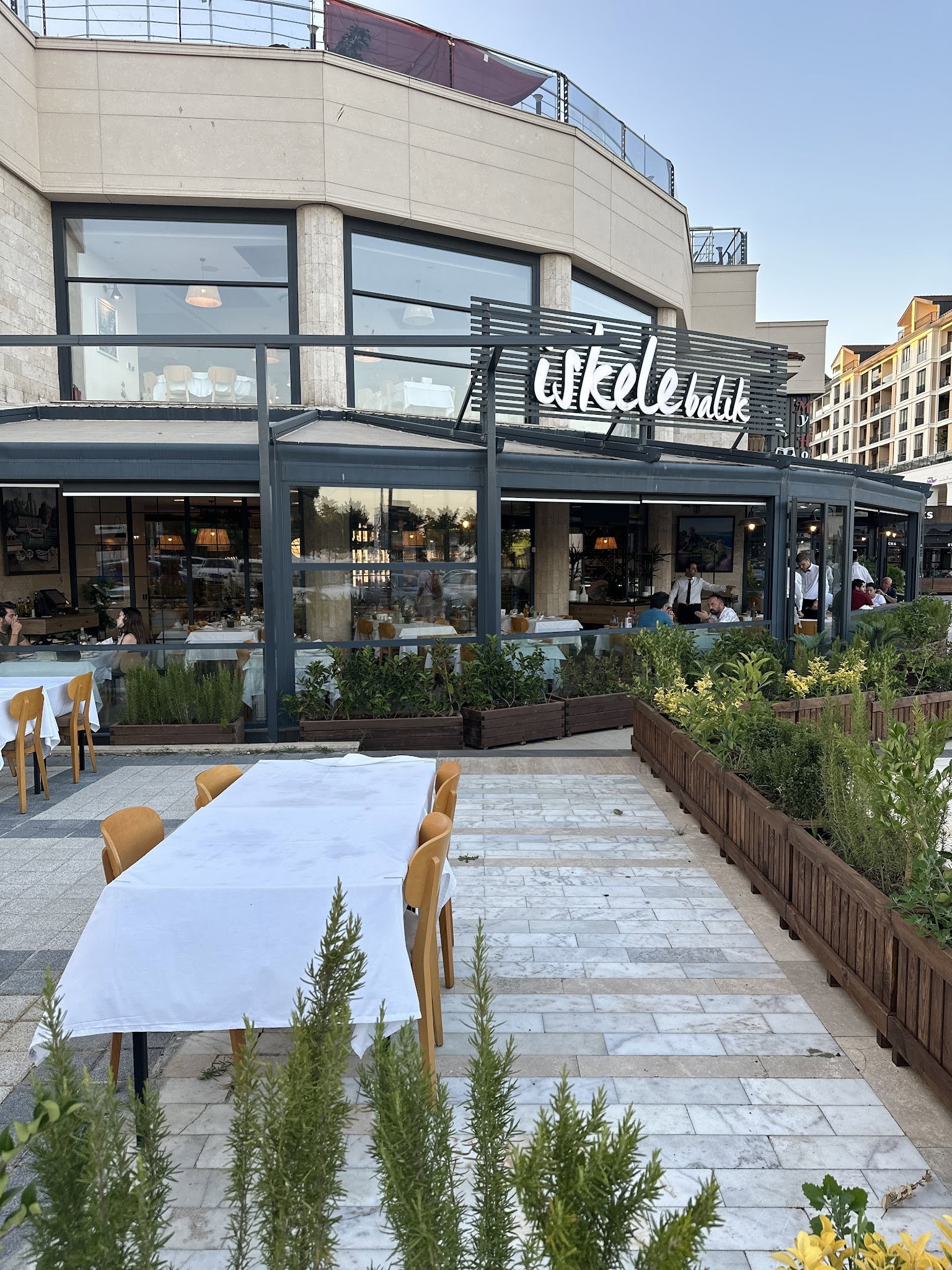 İskele Balık (Tuzla Sahil)