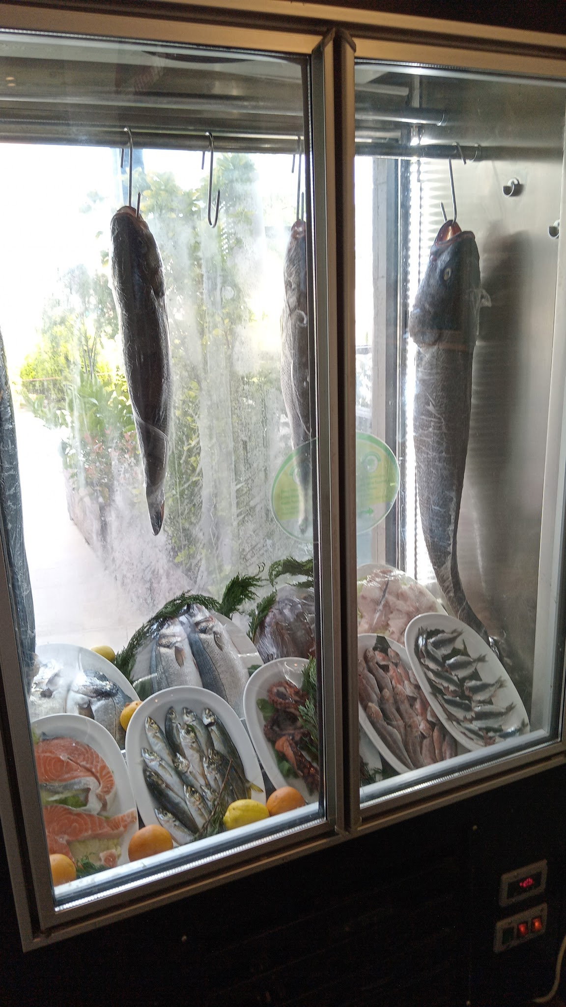 İskele Balık (Tuzla Sahil)