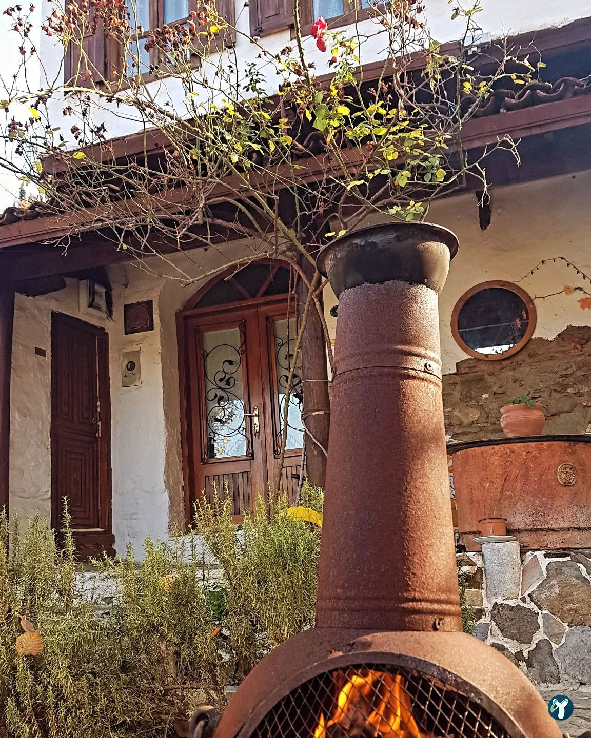 Neziz Meyhane