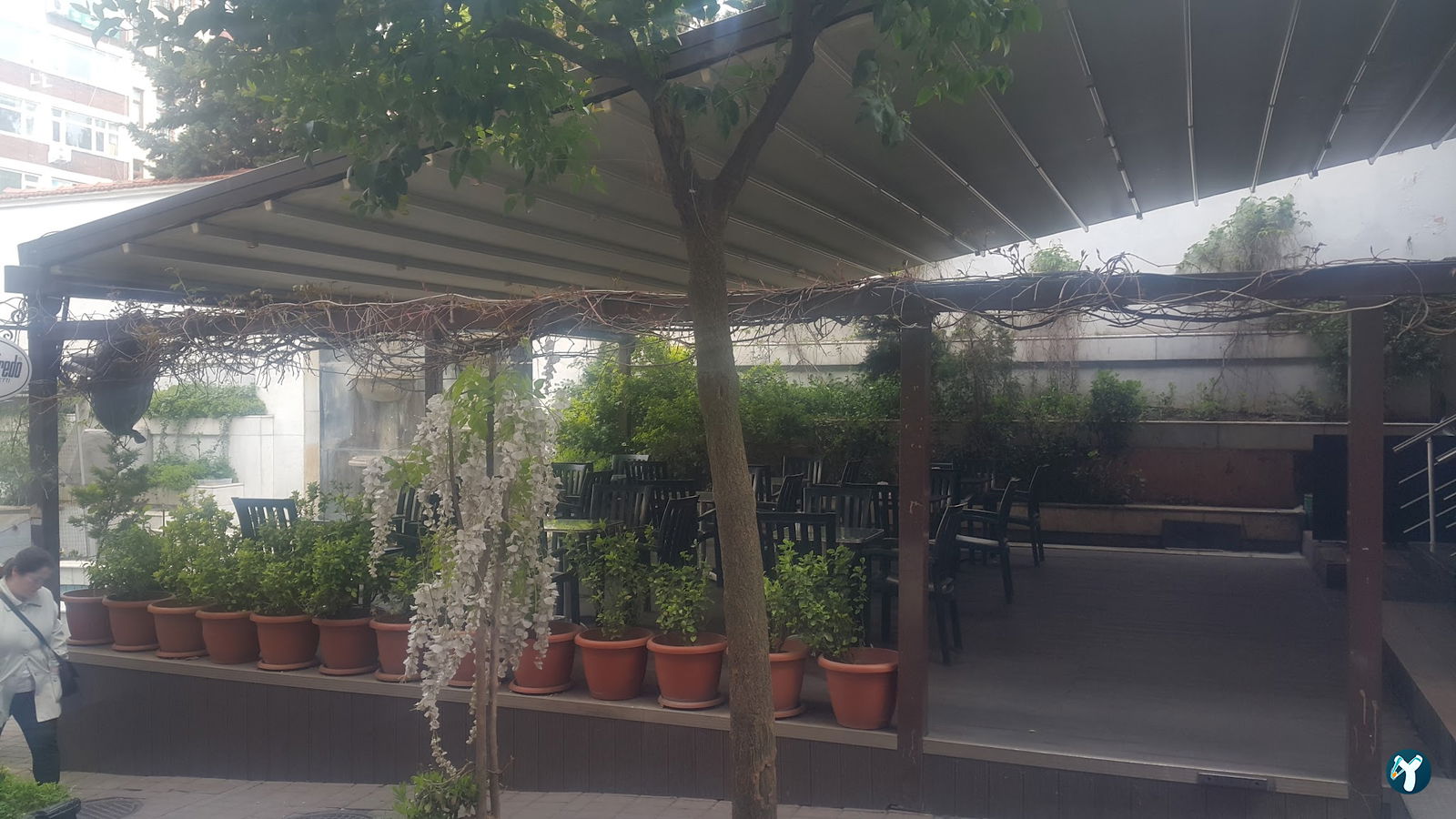 Süslü Kahve