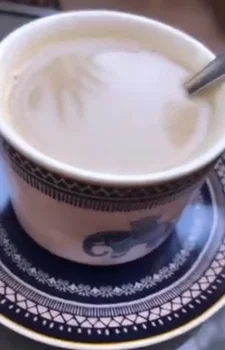 Cactus Cafe resimleri