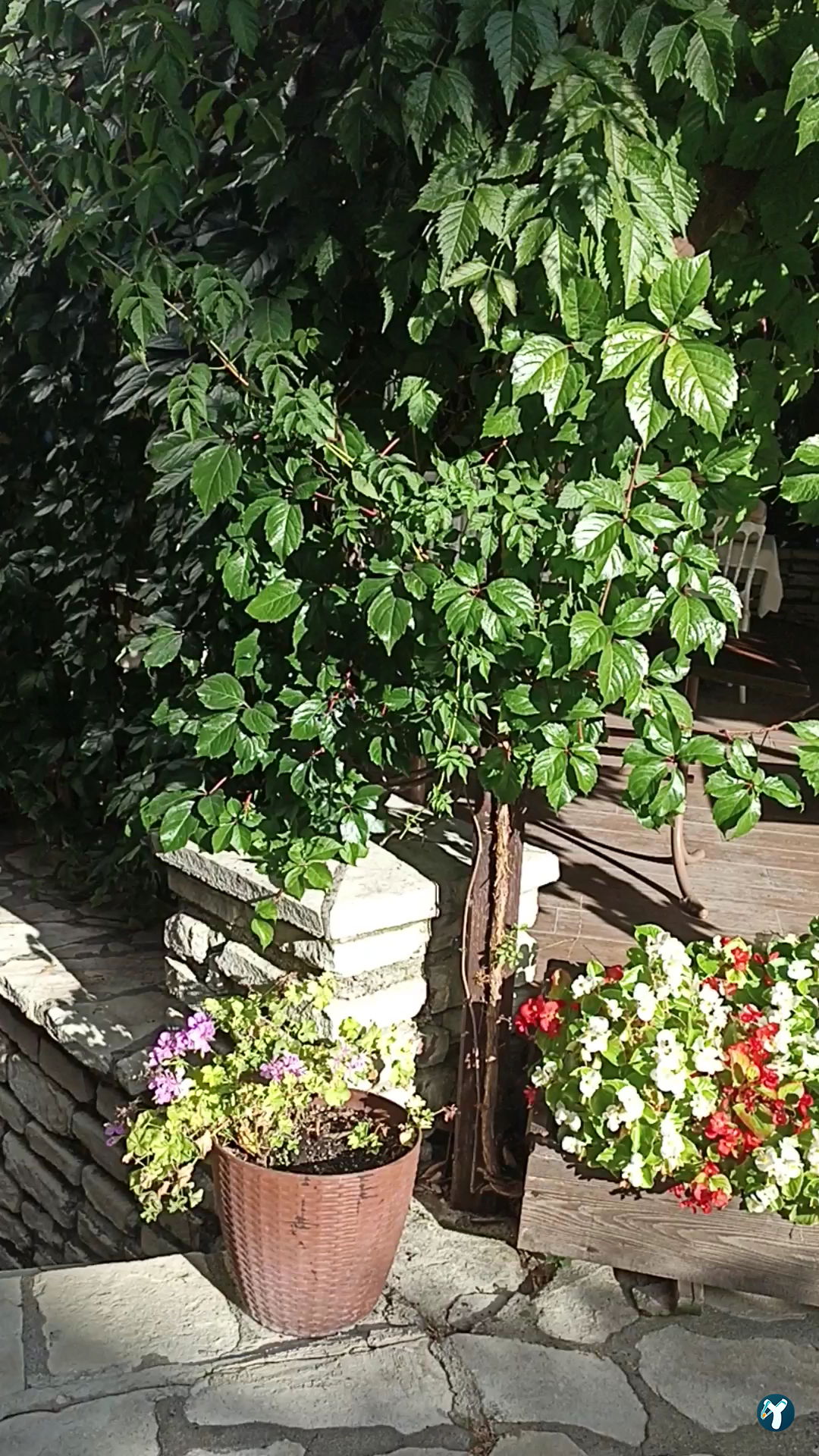 İmren Lokum Konak Otel