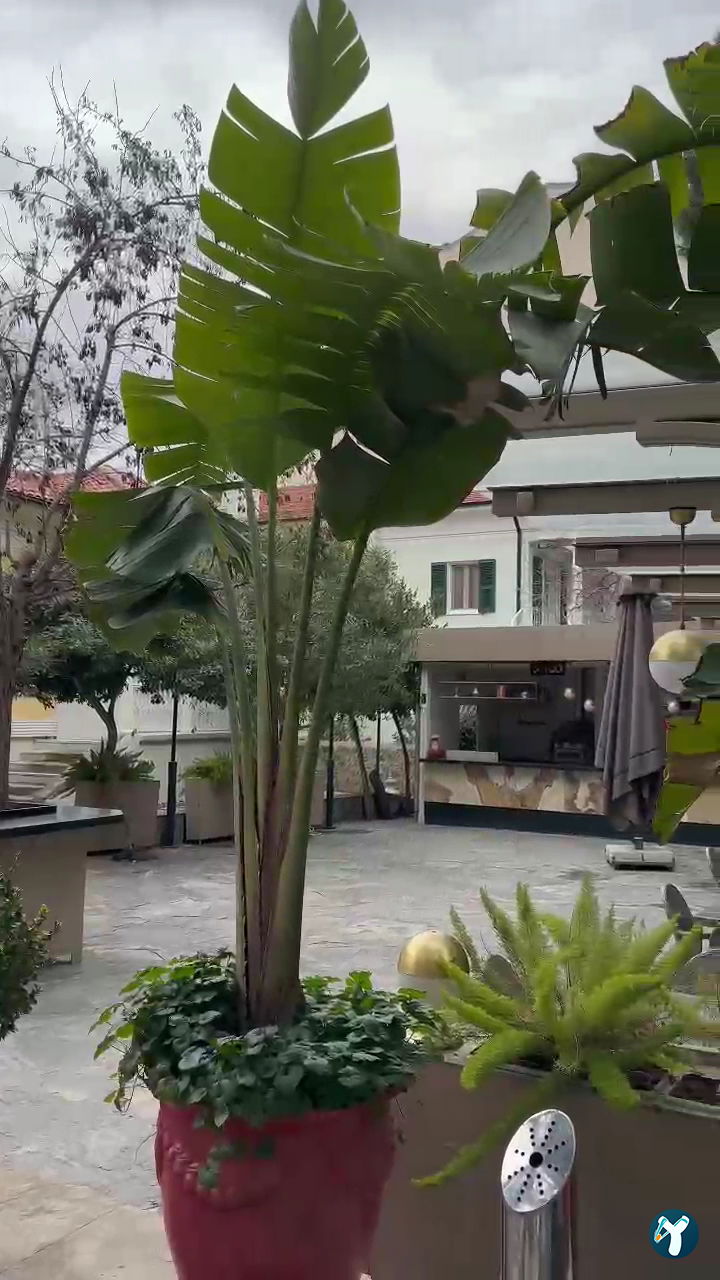 Villa Levante Otel