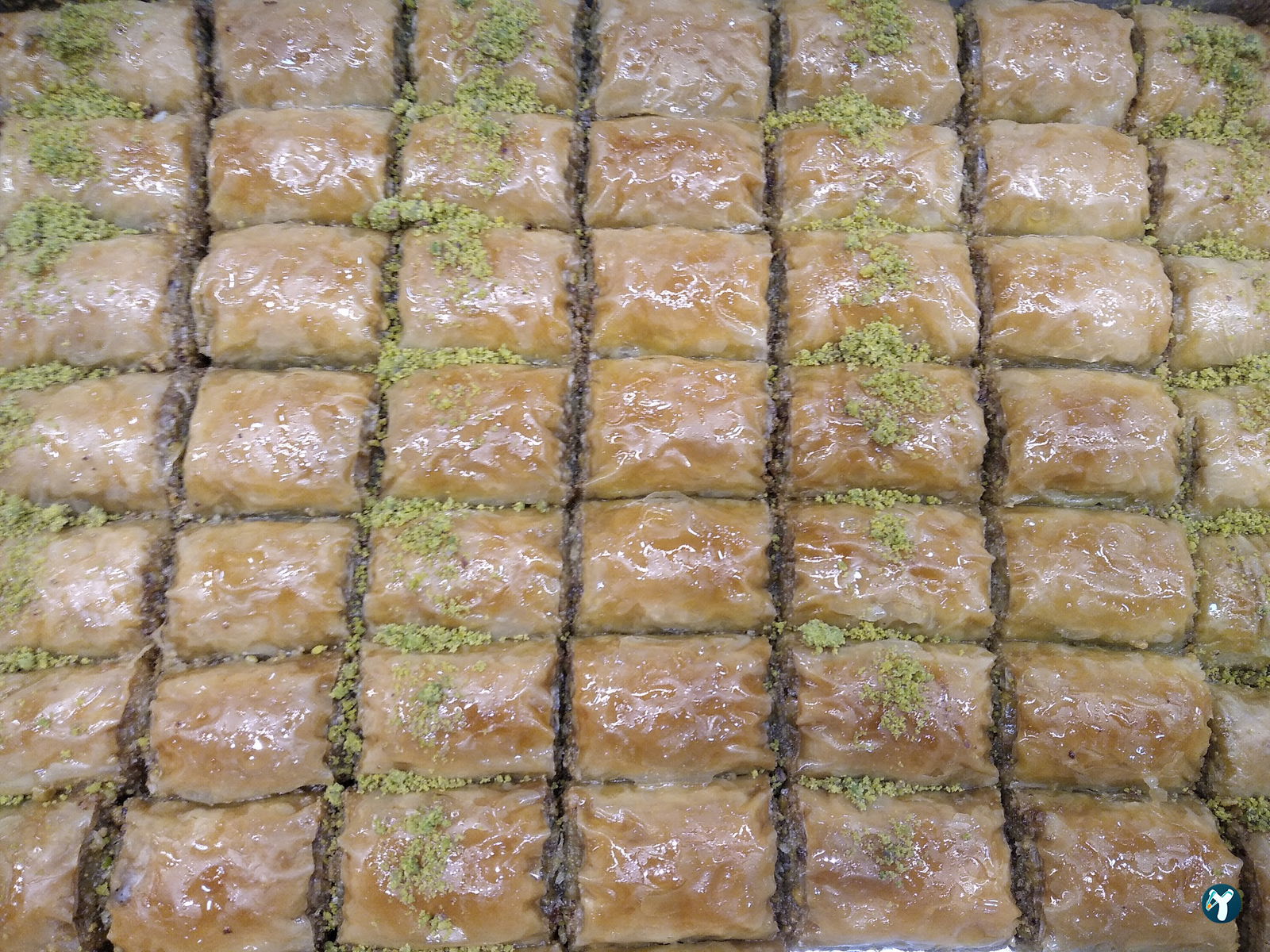 Antepli̇oglu Baklava Pasta Kurabi̇ye