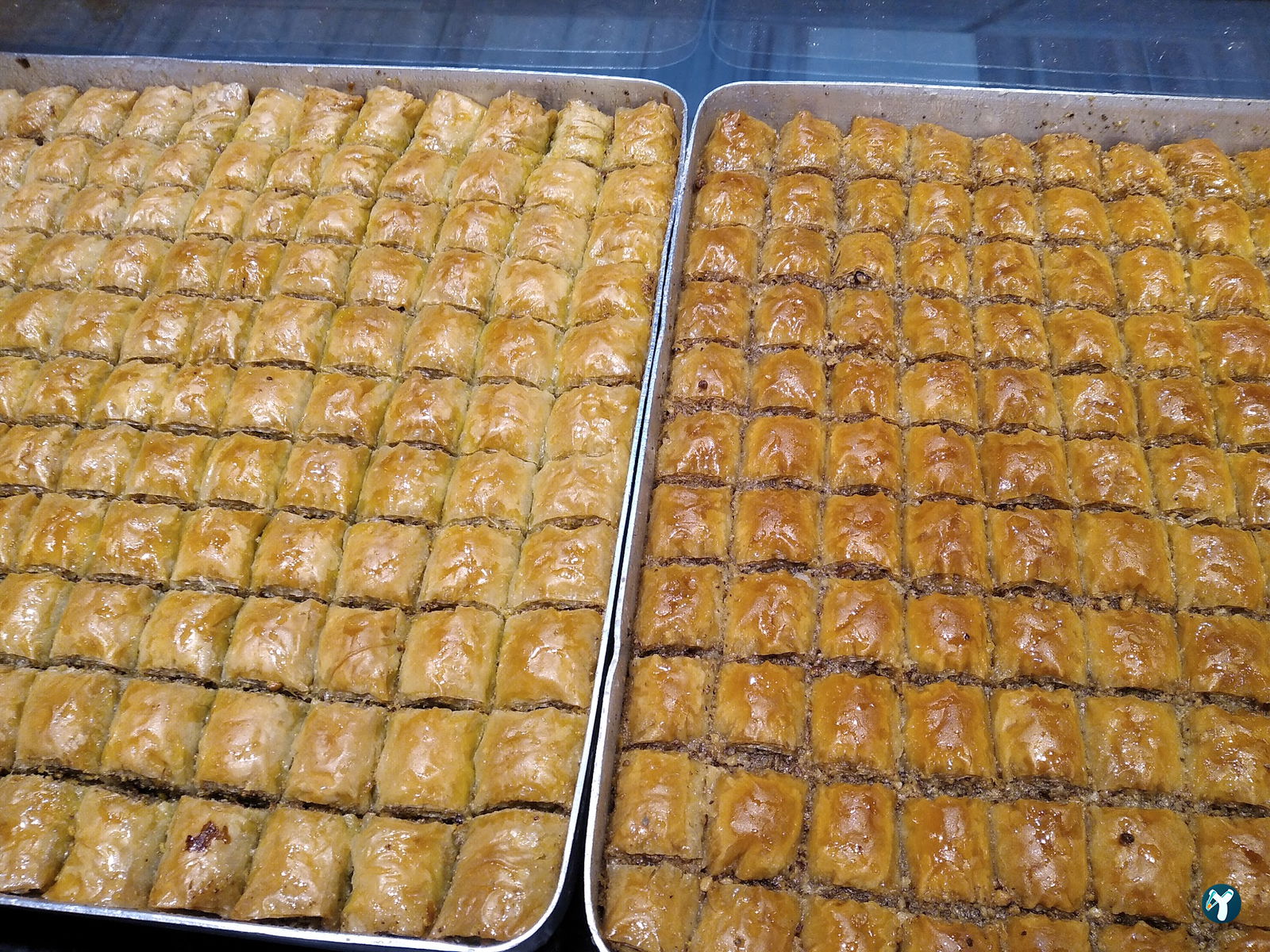 Antepli̇oglu Baklava Pasta Kurabi̇ye