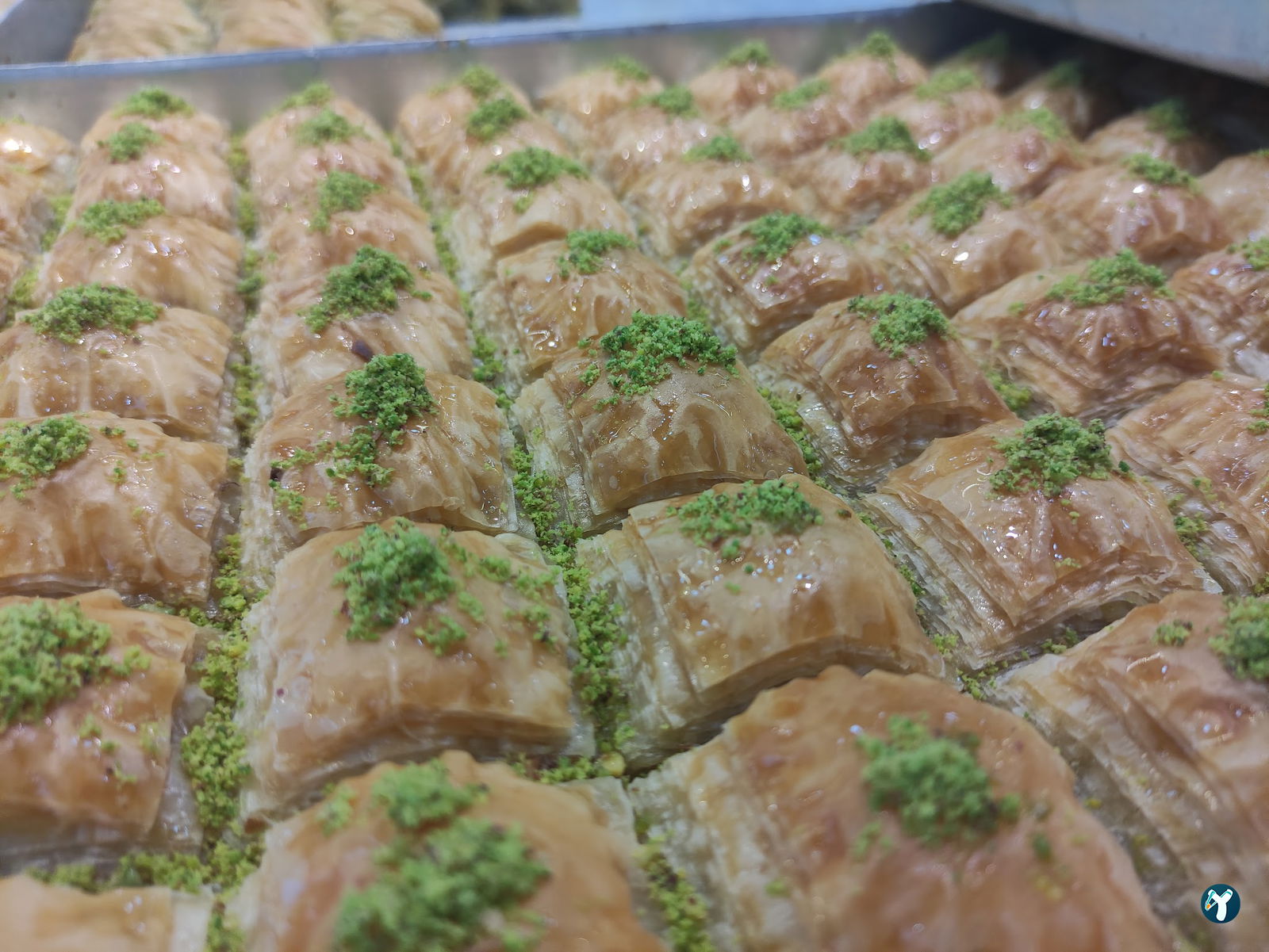 Antepli̇oglu Baklava Pasta Kurabi̇ye