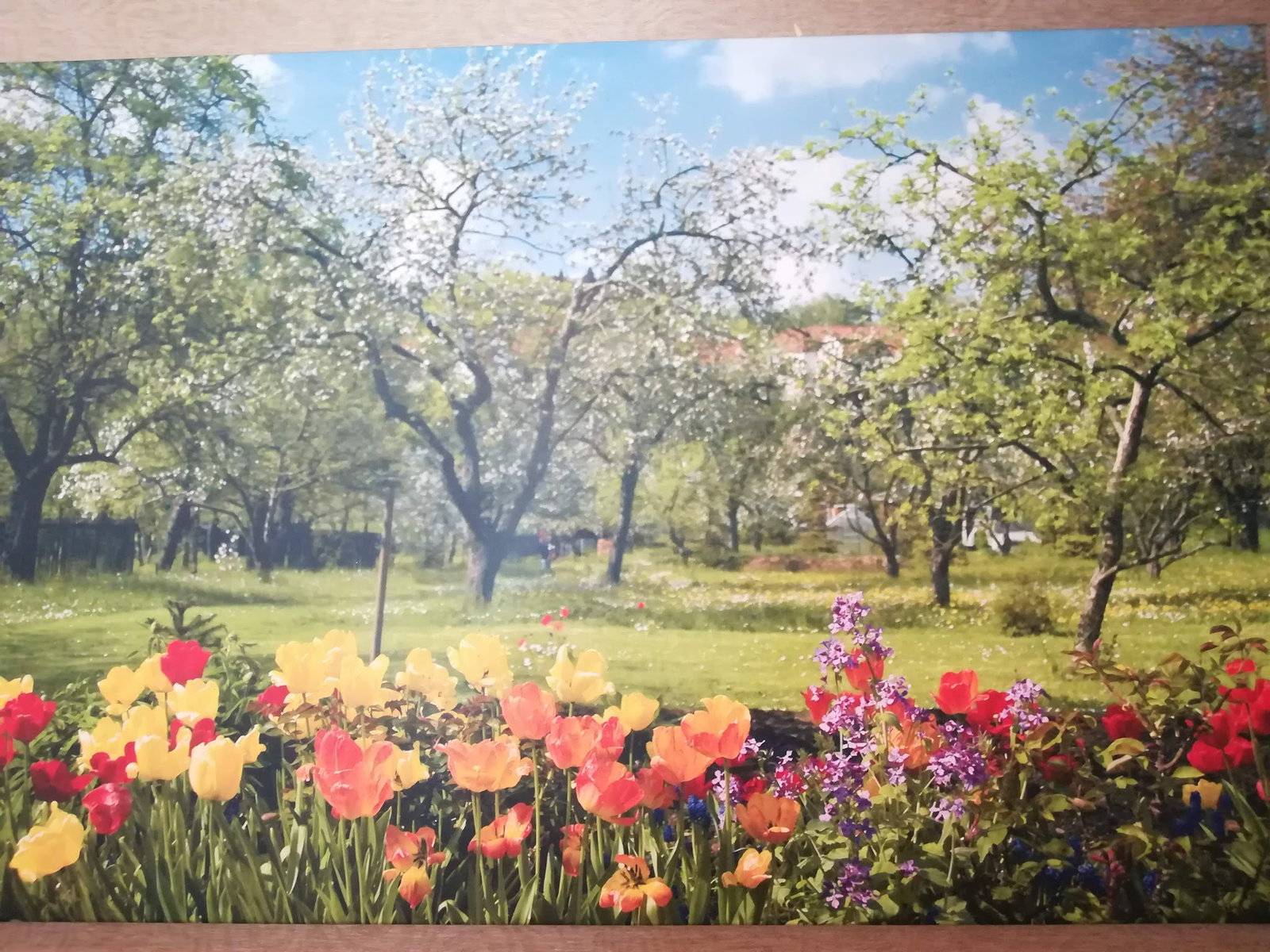 Çınar Lokantası Çarşı Yapı