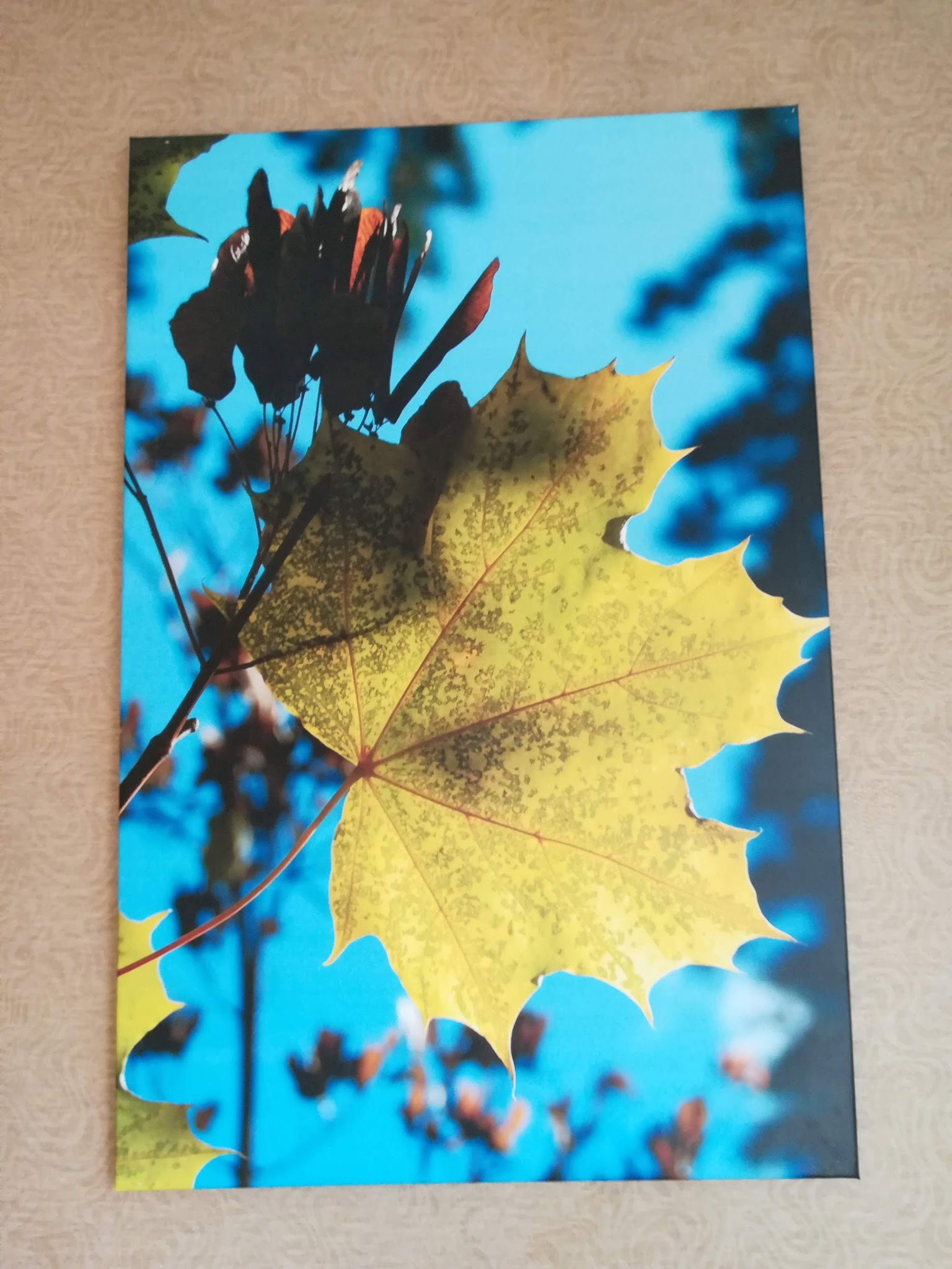 Çınar Lokantası Çarşı Yapı