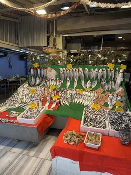 Di̇cle Balik resimleri