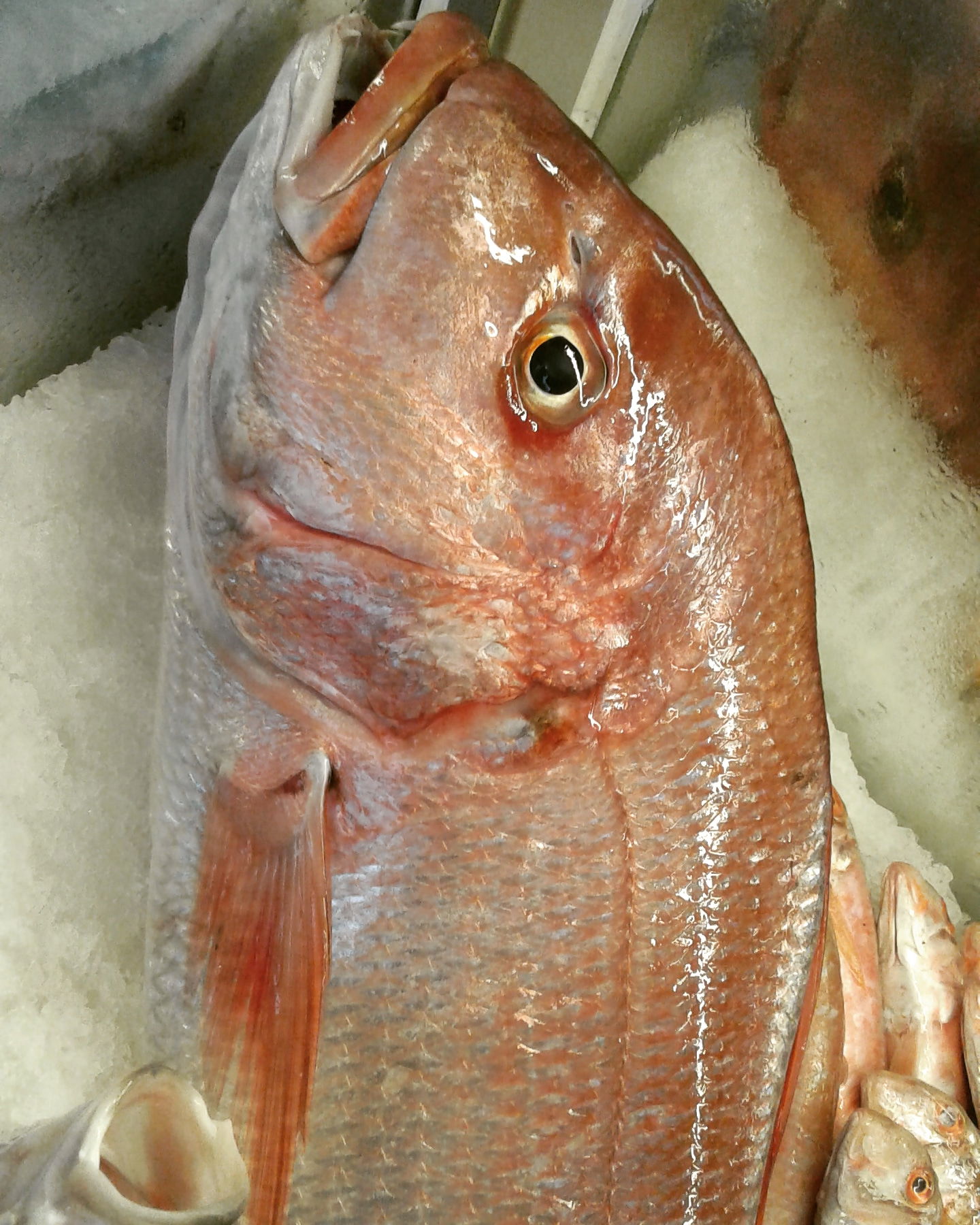 Taka Restoran İzmir