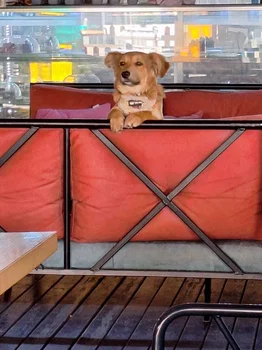 Empati Xl Kafe resimleri