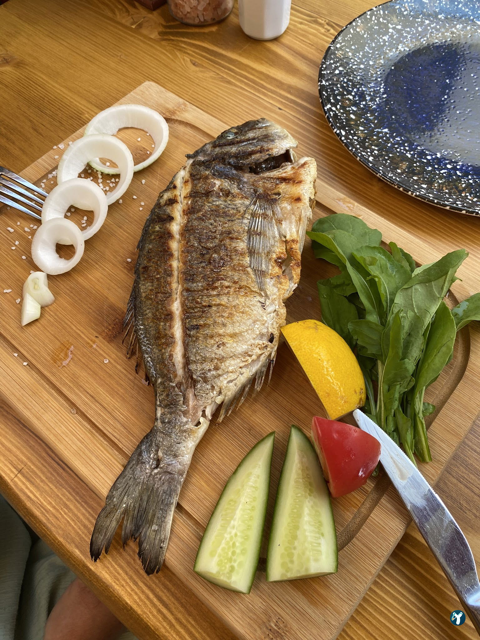 Ragip. Steak.Fish.House