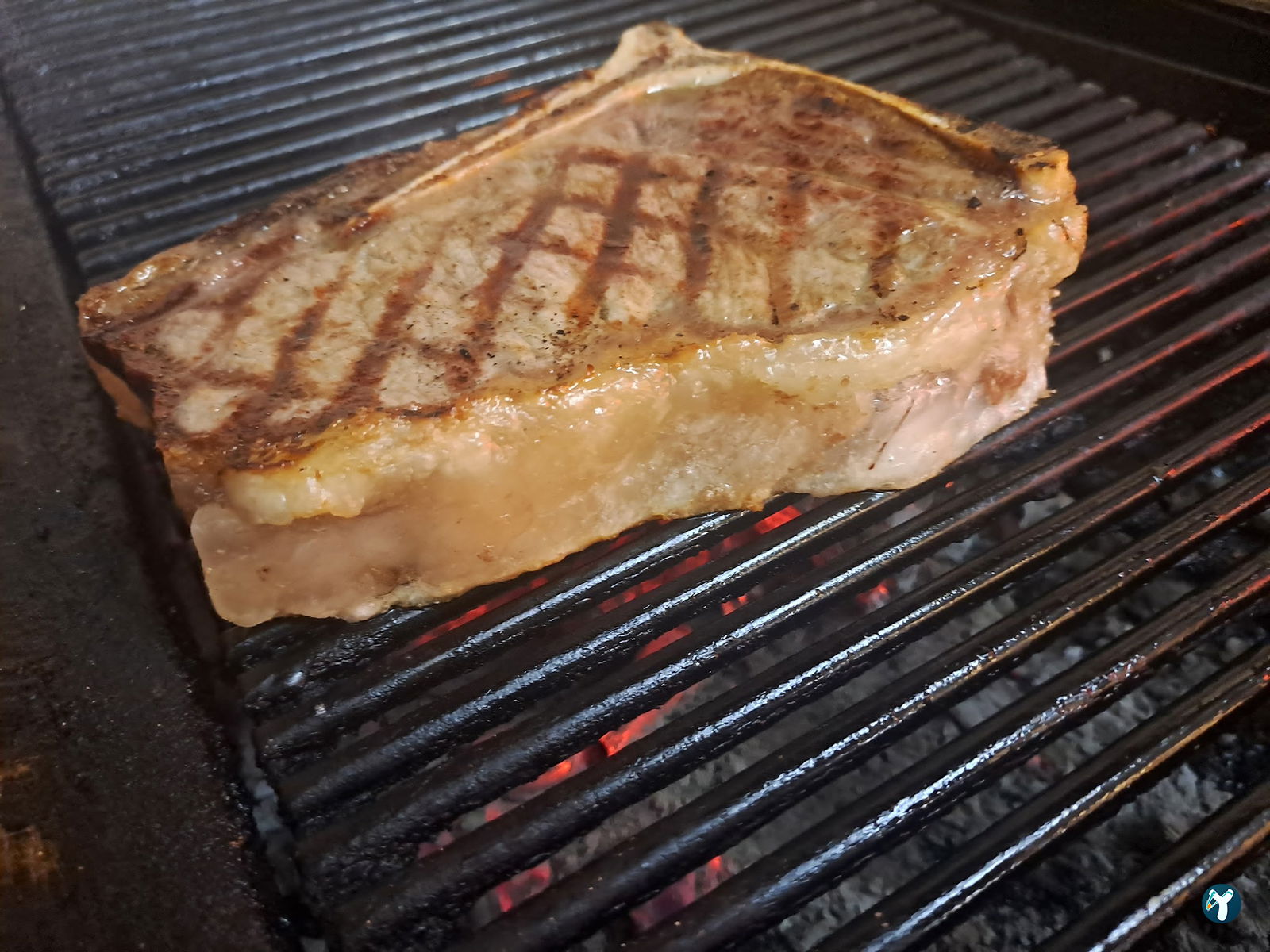 Ragip. Steak.Fish.House