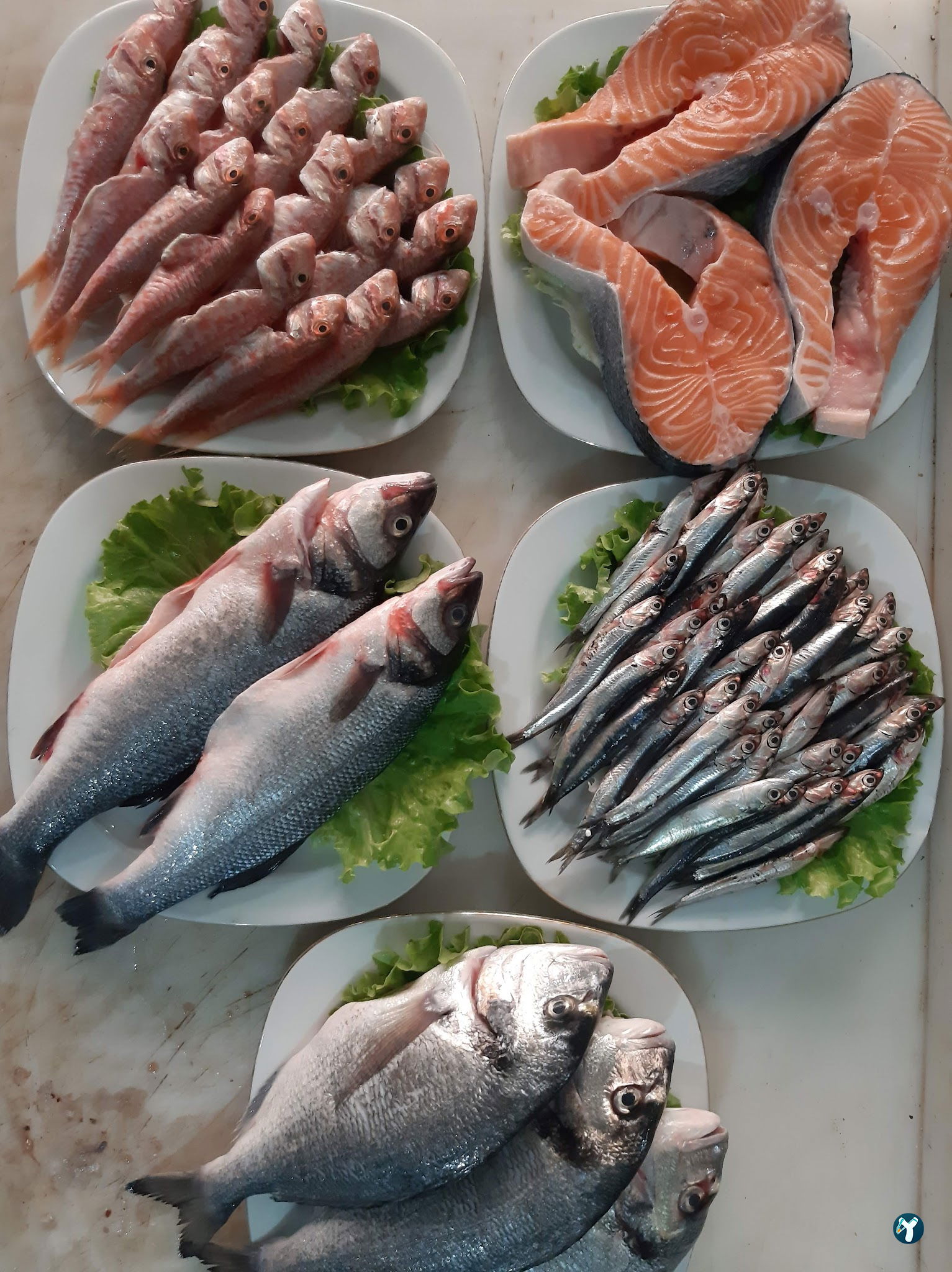 Ragip. Steak.Fish.House