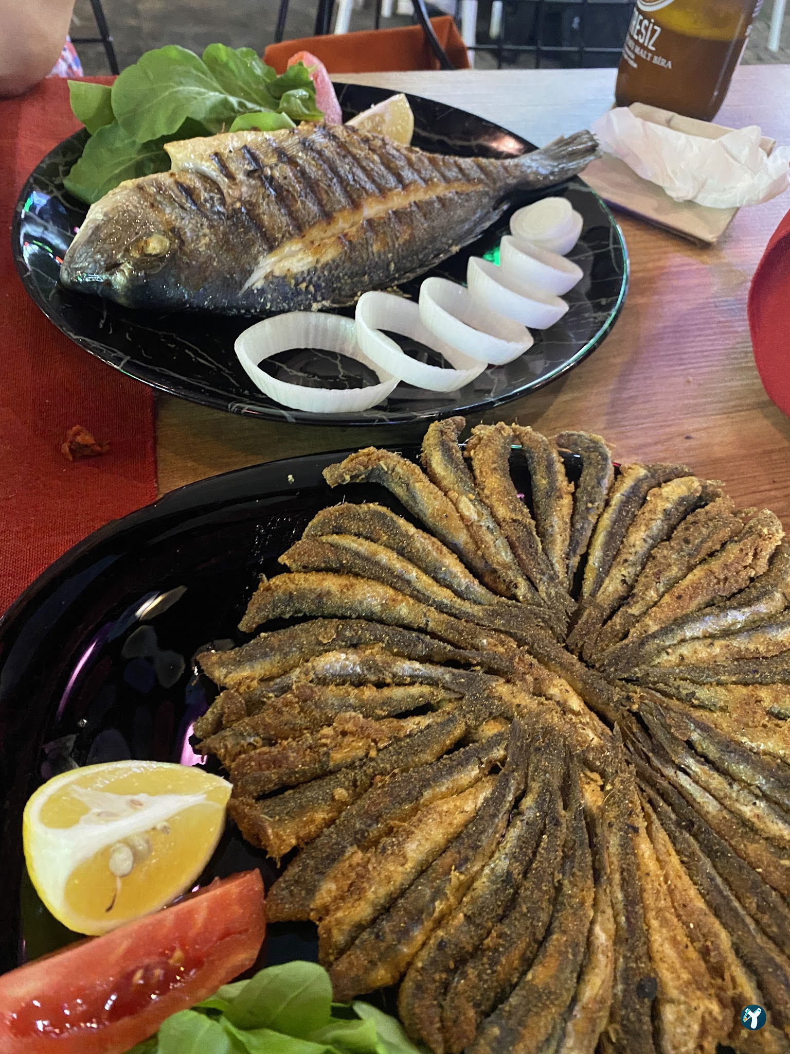 Ragip. Steak.Fish.House