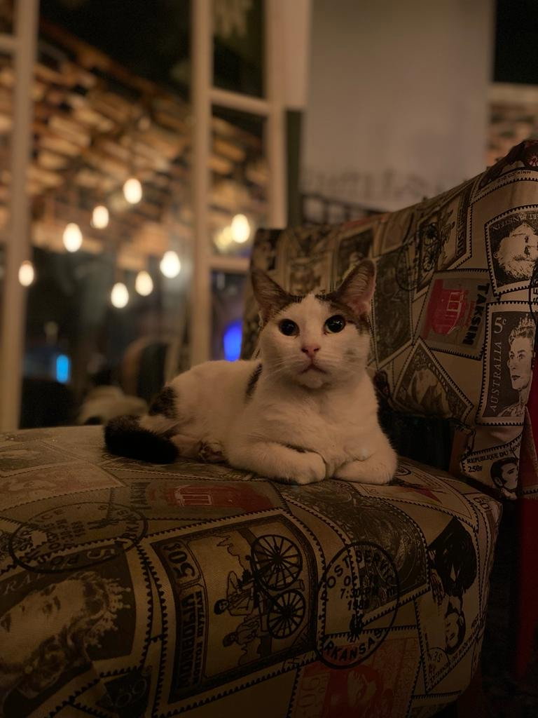 Üzüm Şeftali̇ Cafe