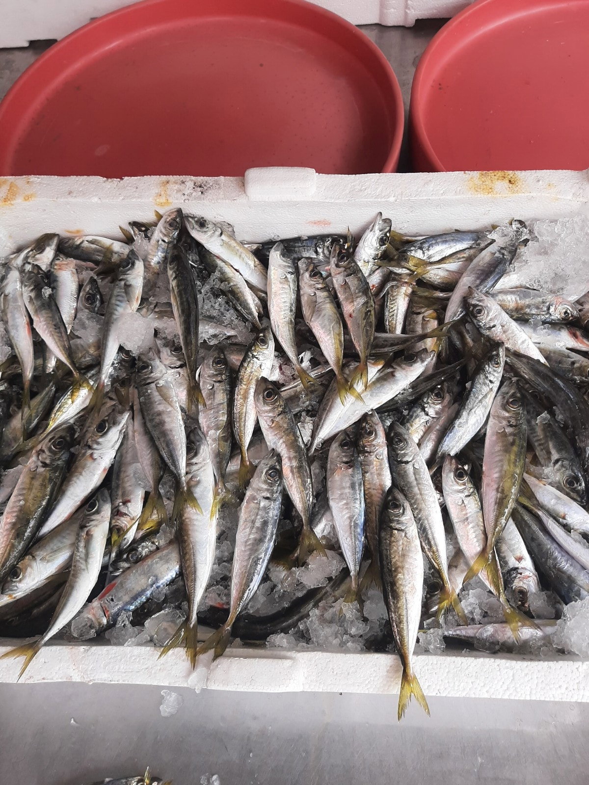 Kerimoğlu Balıkçılık Ve Restoran