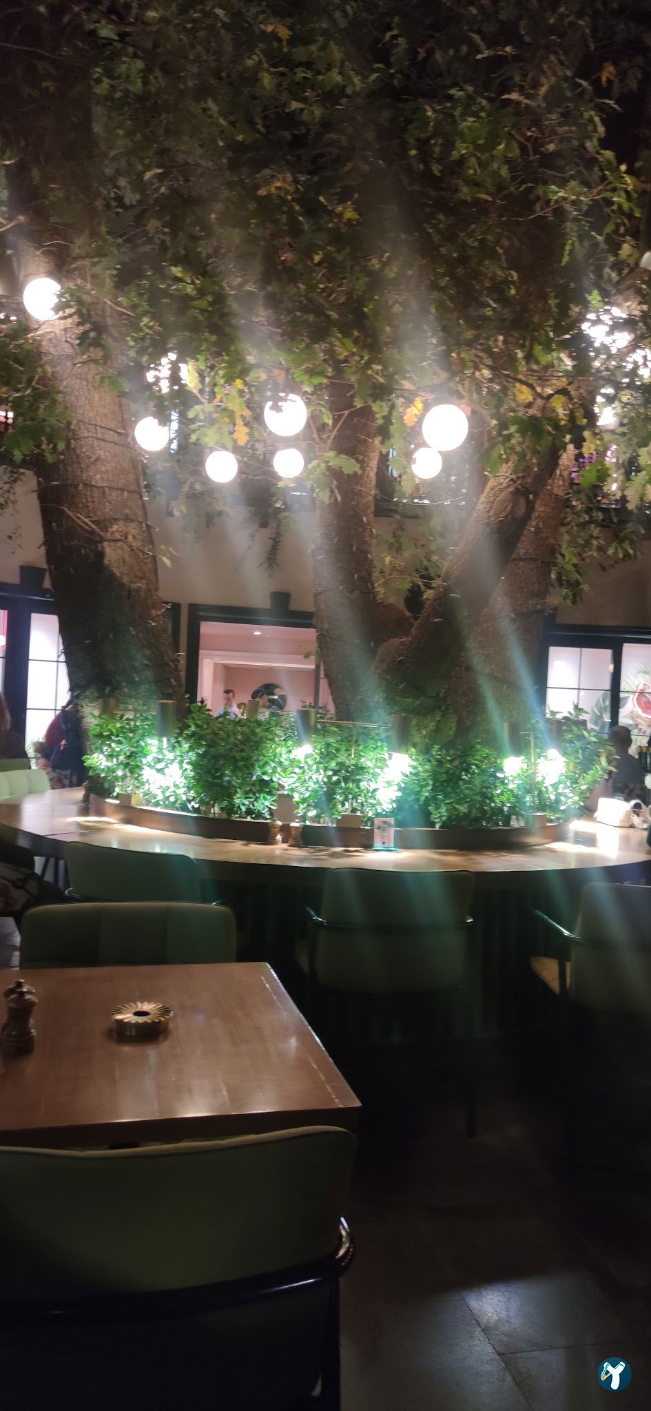 Lou Cafe Bistro - İran Caddesi