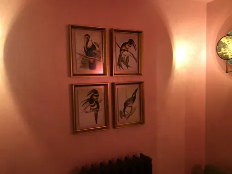 Lou Cafe Bistro - İran Caddesi resimleri Lou Cafe Bistro - İran Caddesi resimleri