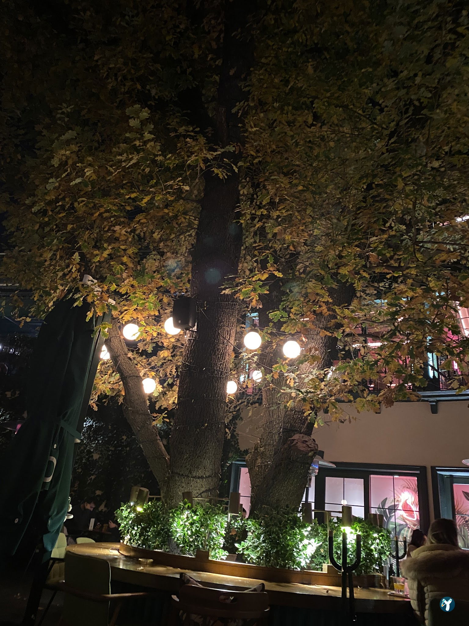 Lou Cafe Bistro - İran Caddesi
