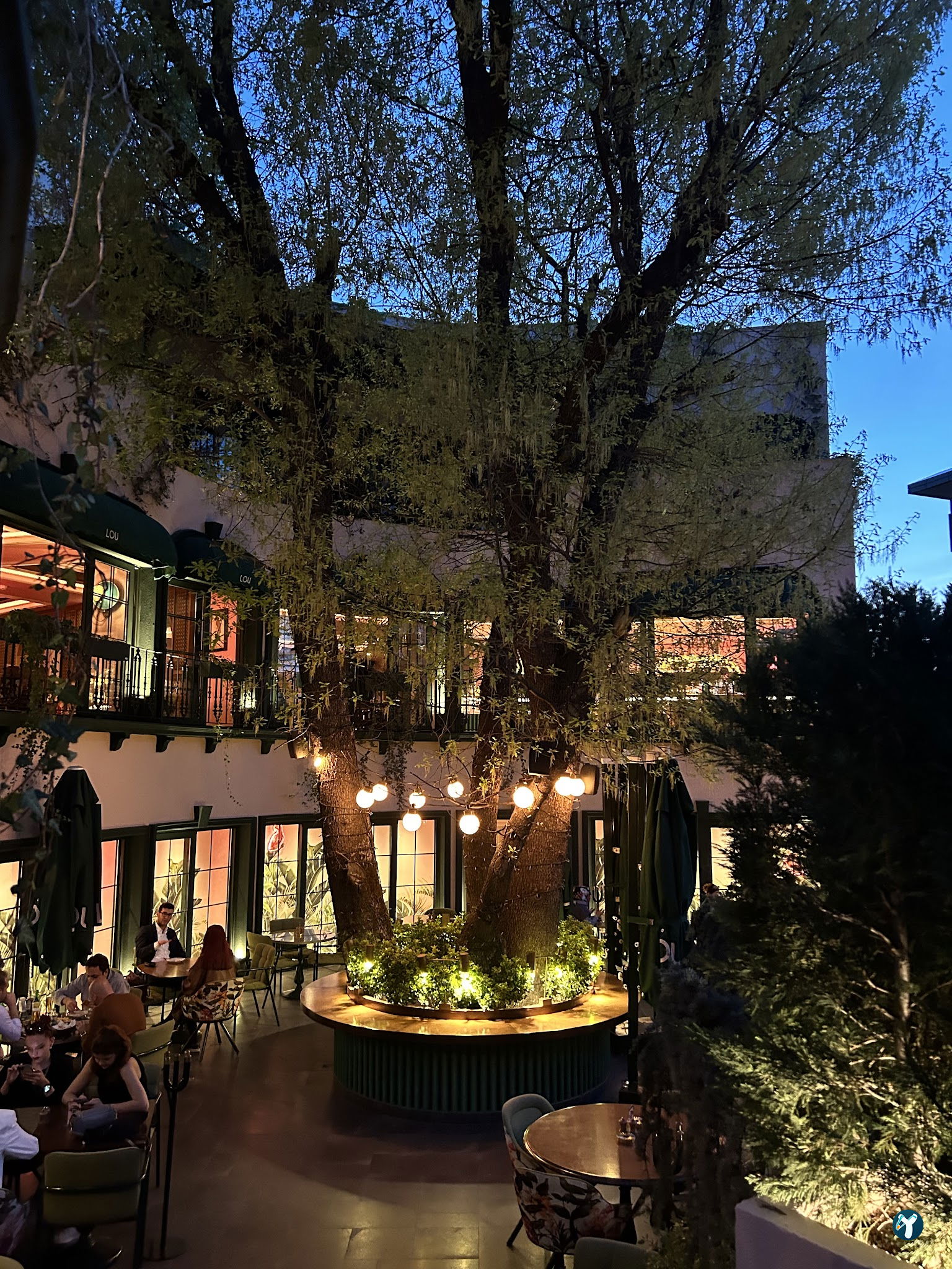 Lou Cafe Bistro - İran Caddesi