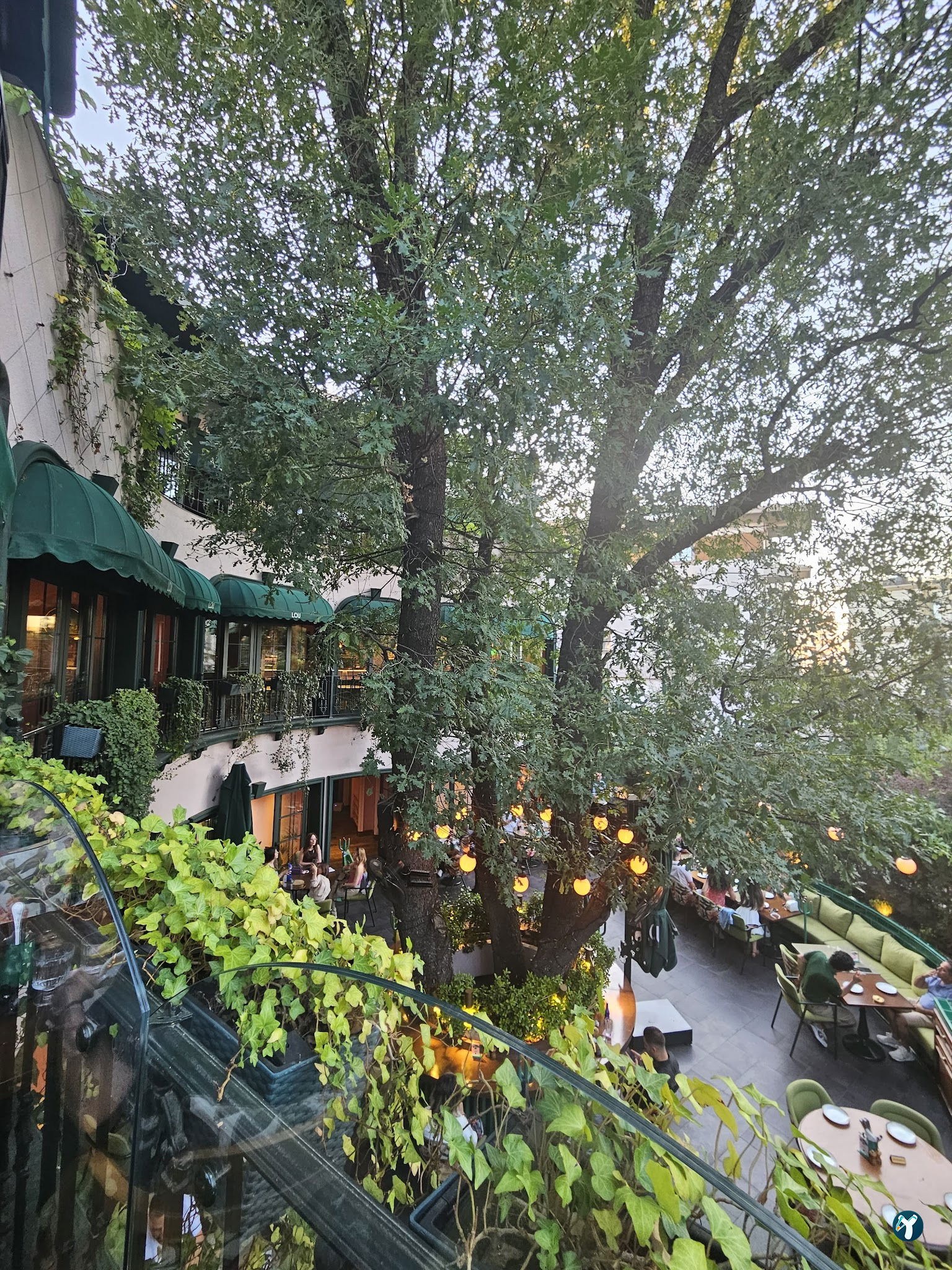 Lou Cafe Bistro - İran Caddesi